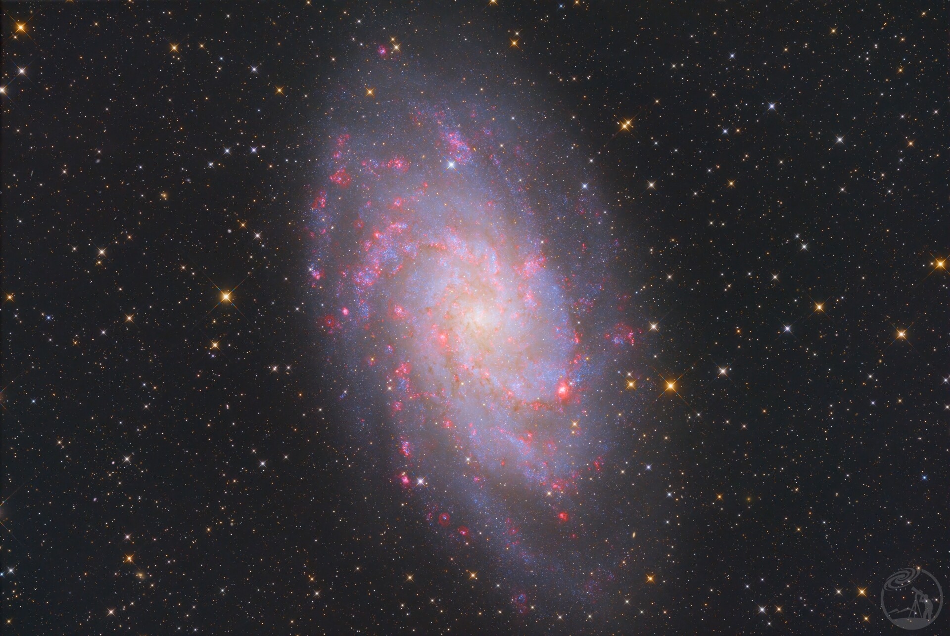 M33