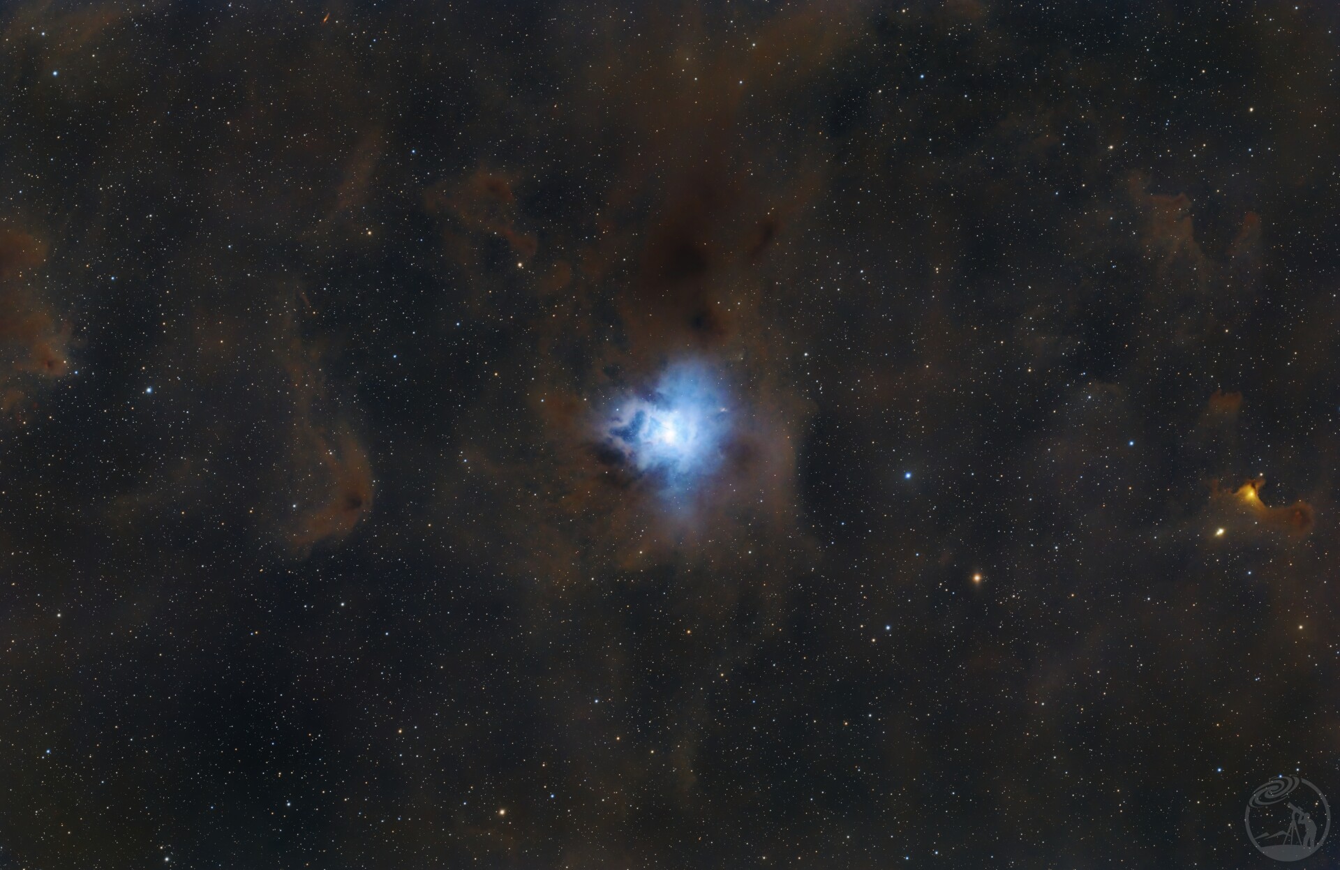 NGC7023鸢尾花星云 RASA 8级深空