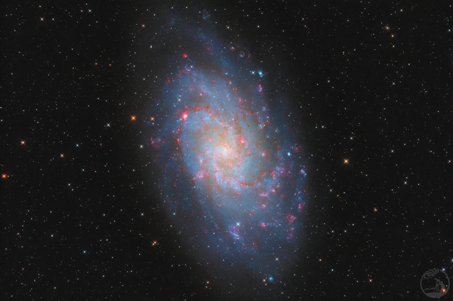 m33 红花绿花