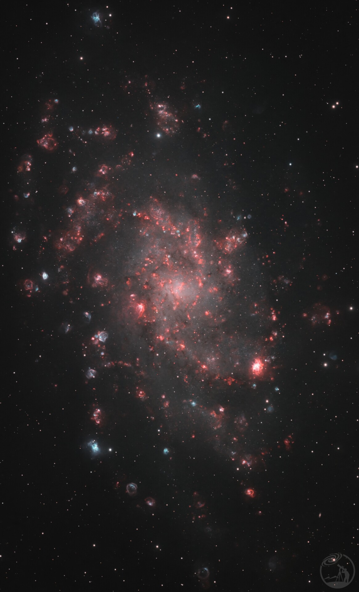M33