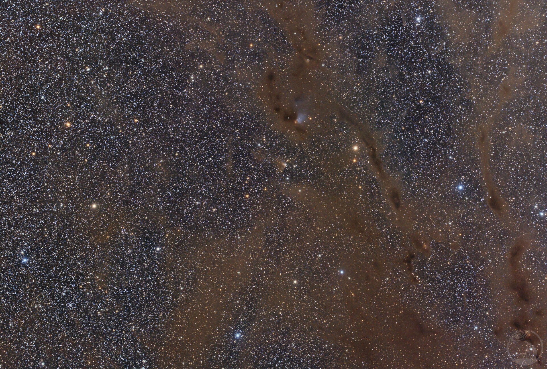 barnard 214