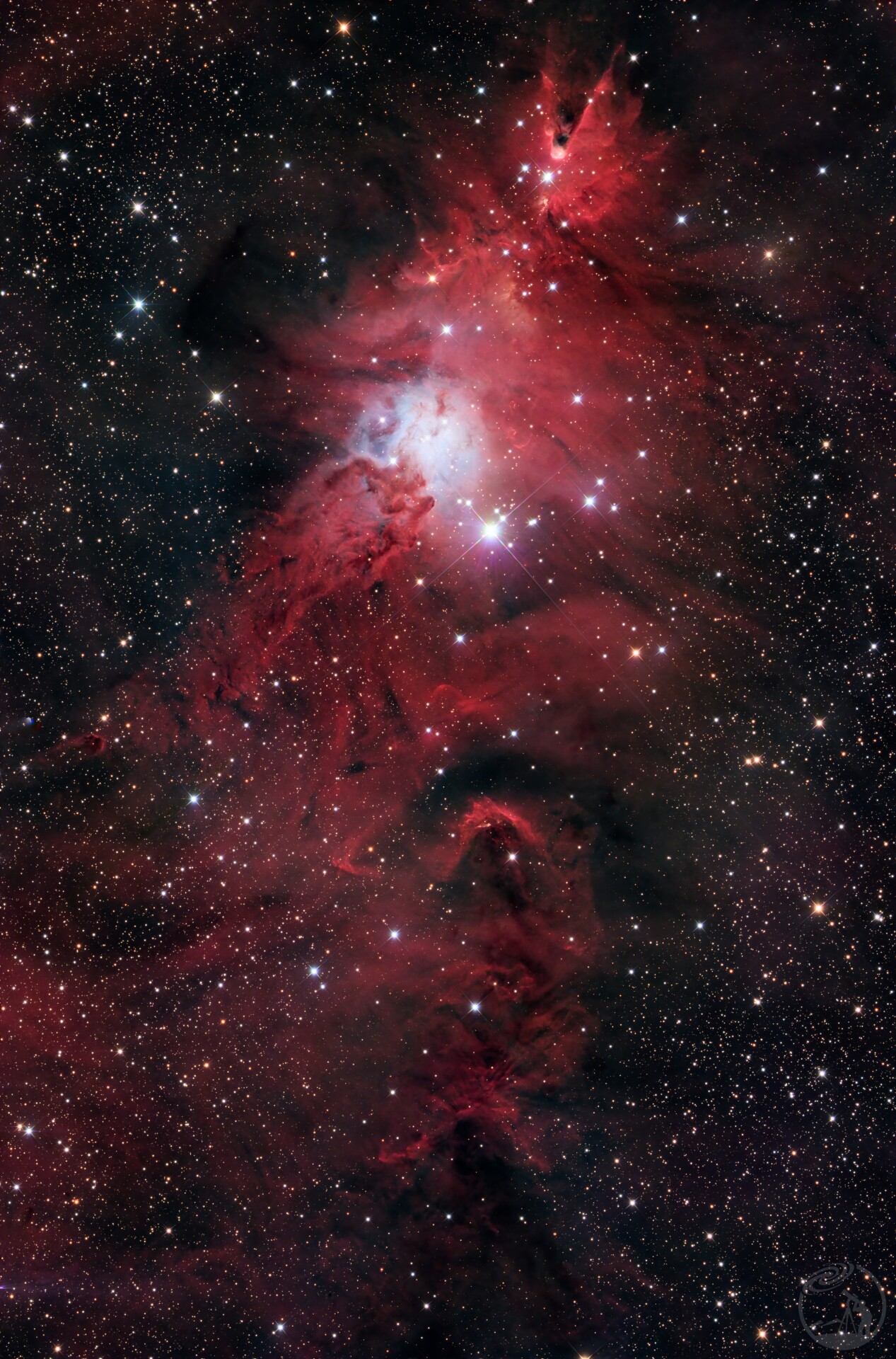 NGC2264 圣诞树星云