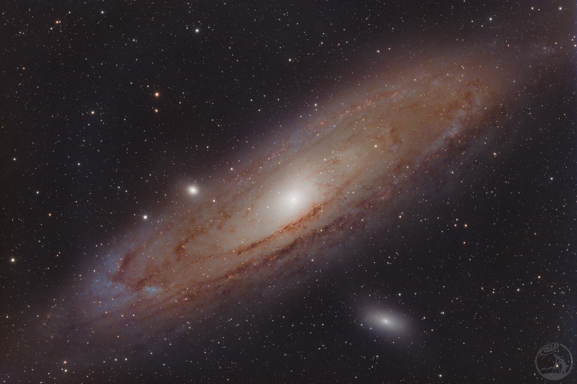 M31