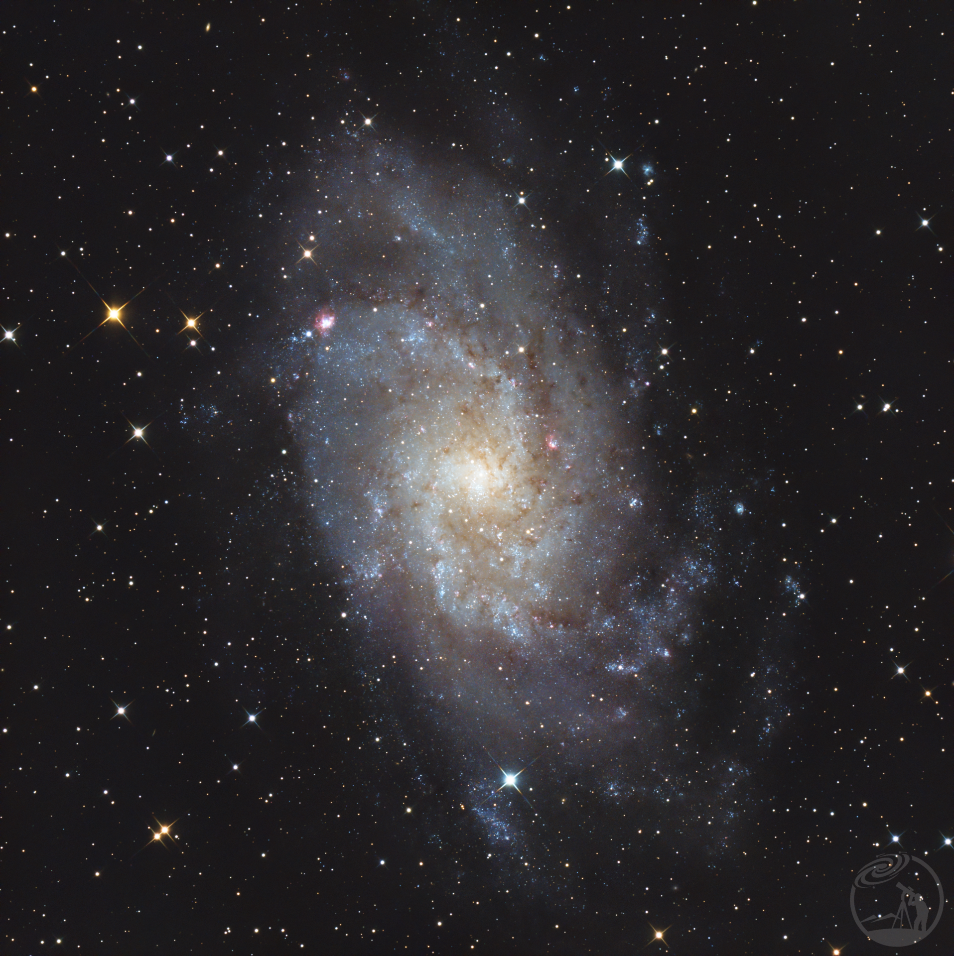 M33