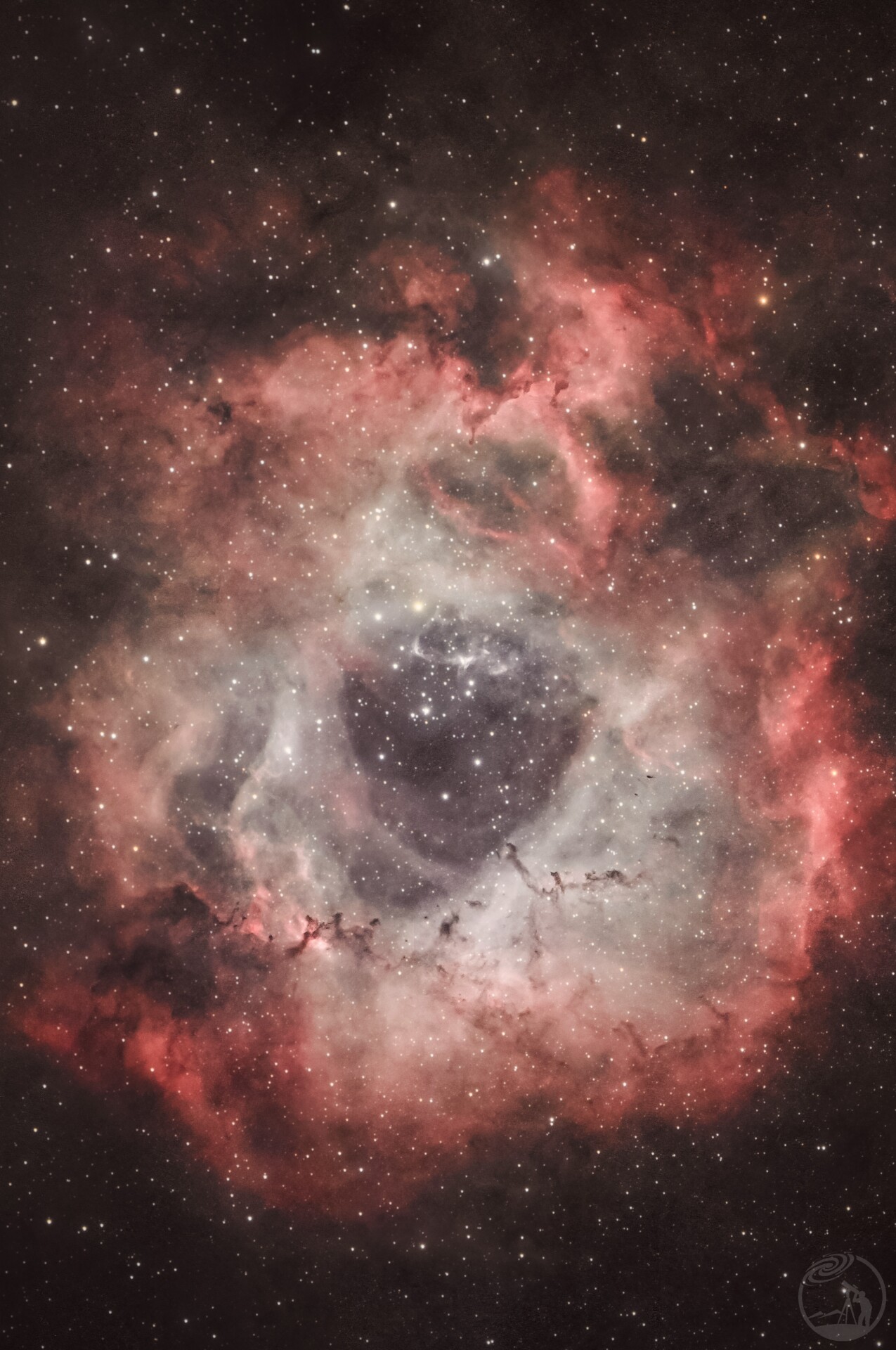 玫瑰星云