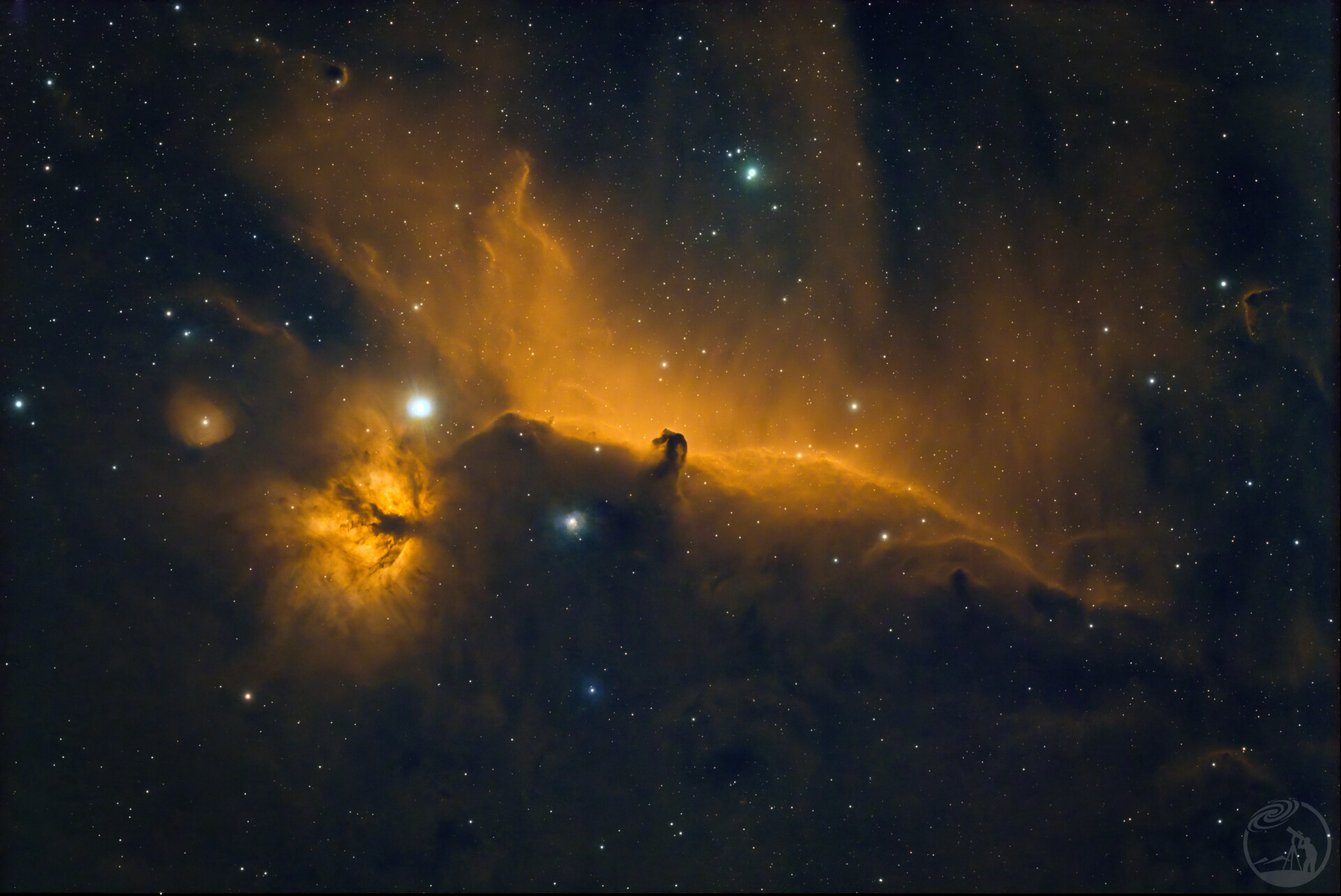 黄色马头，很黄、很暴力！