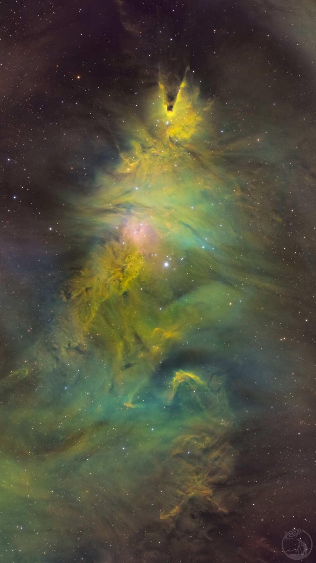 圣诞星云，ngc2264