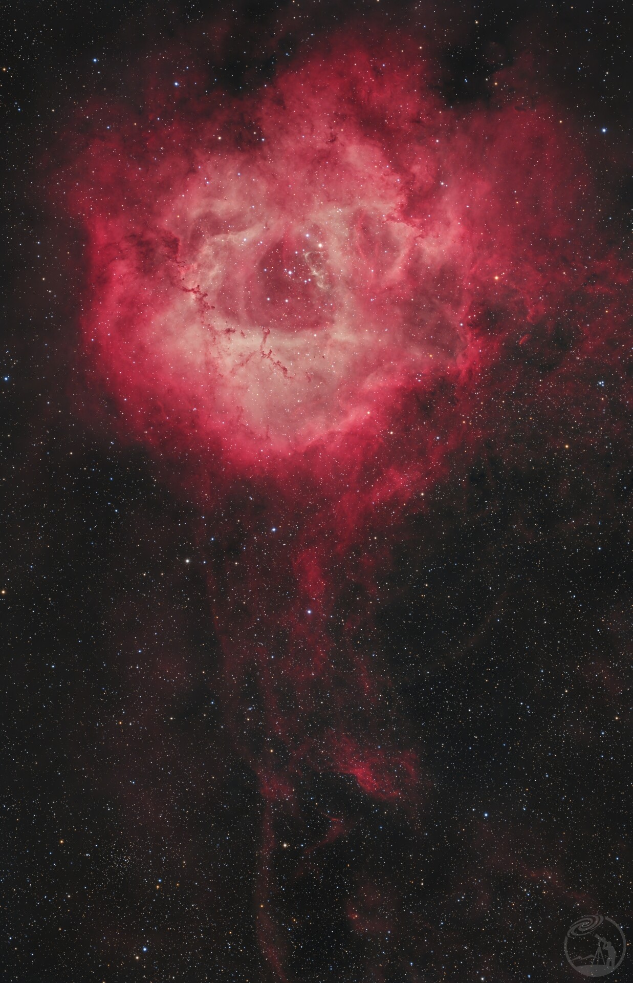 NGC2237 玫瑰星云 RASA 8级深空