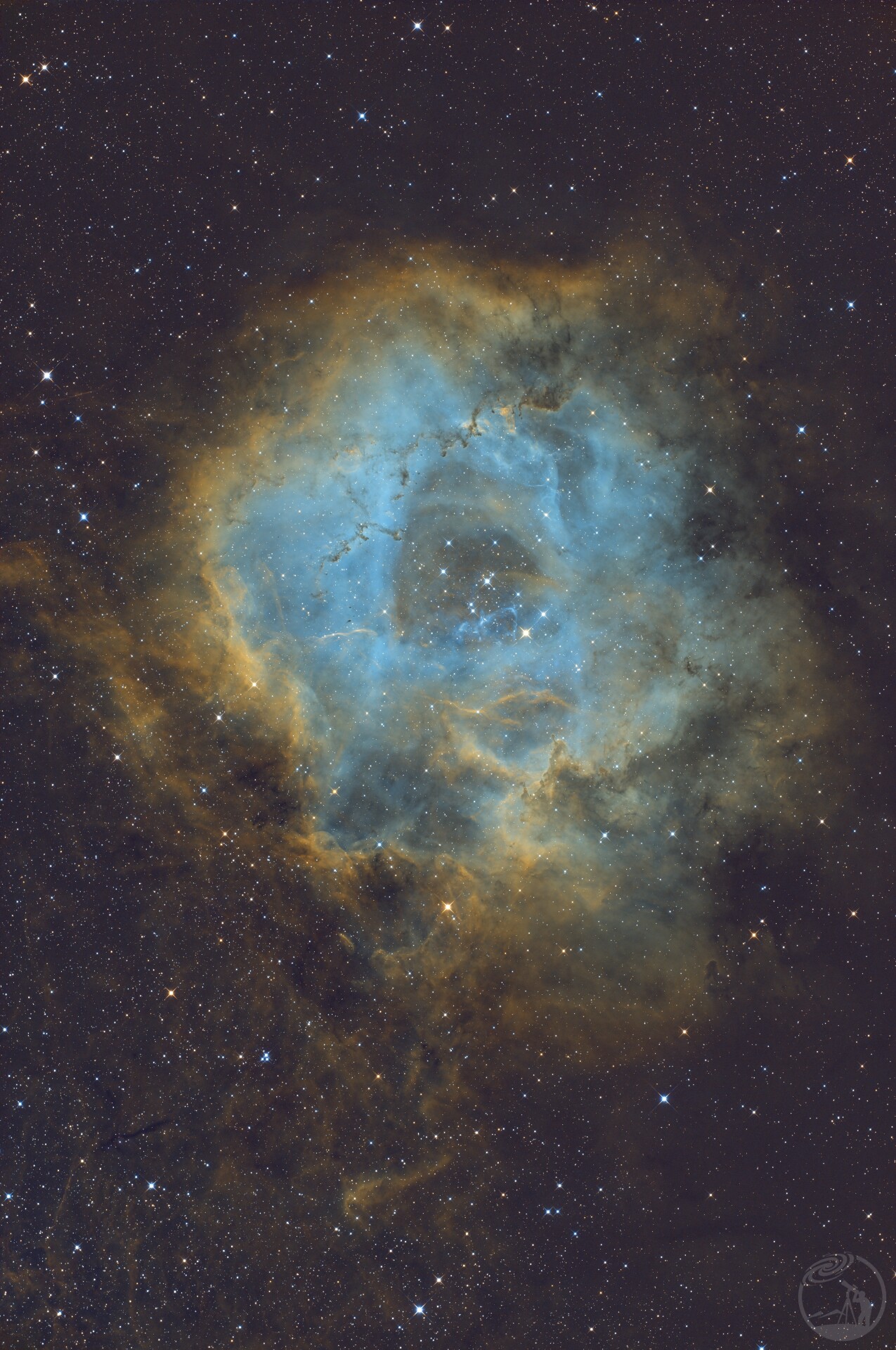 NGC2244 玫瑰