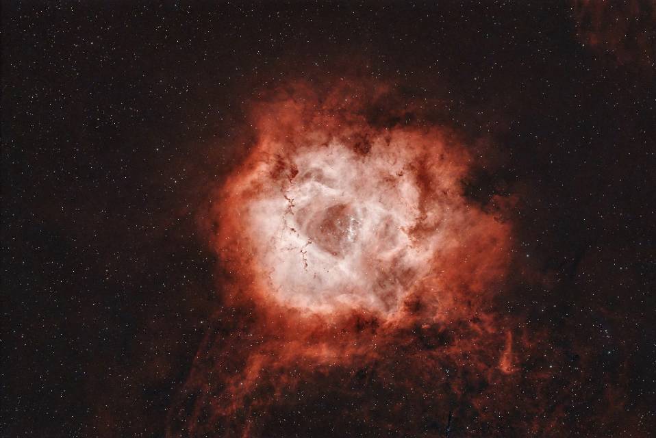 玫瑰星云（双窄16h）