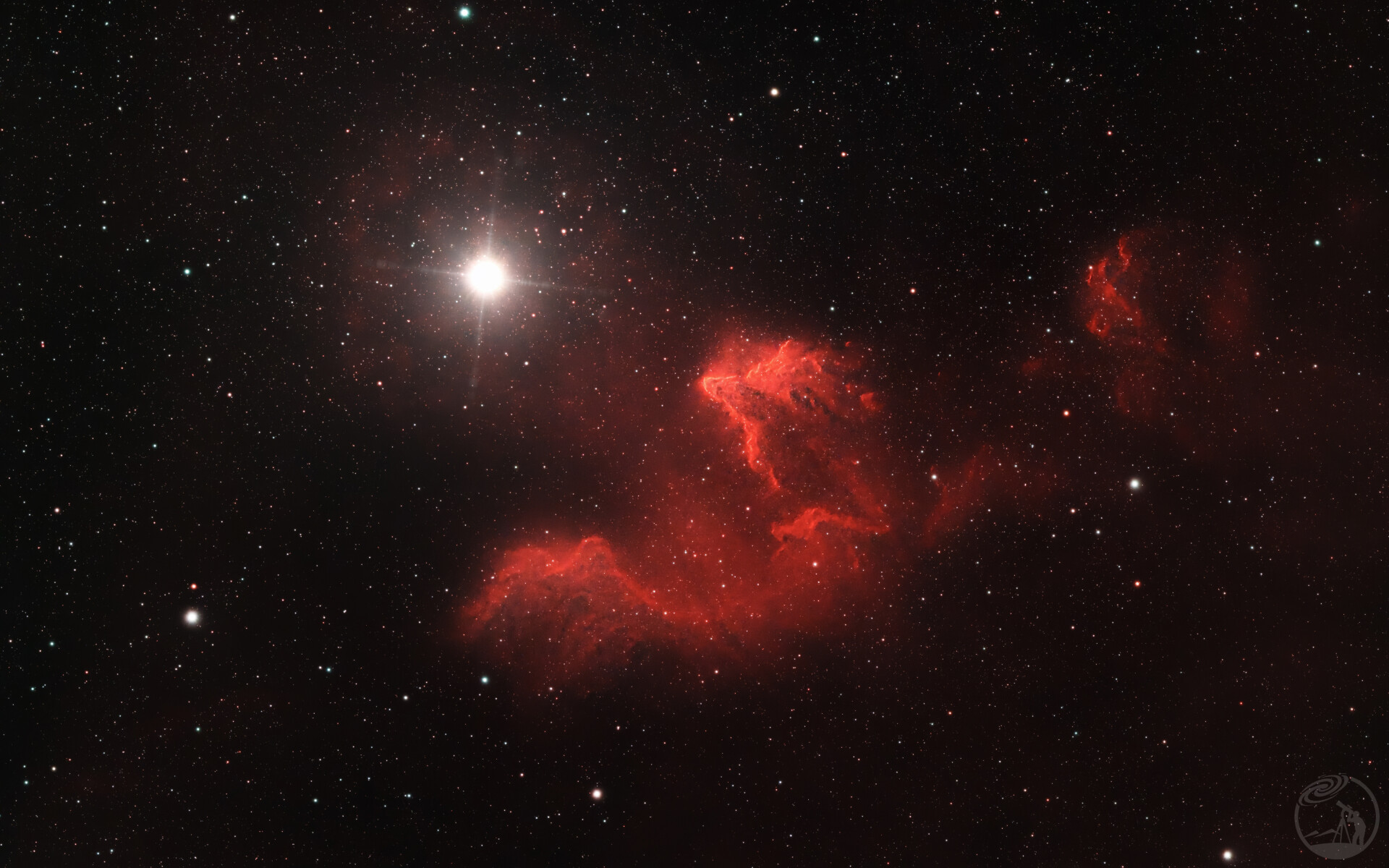 IC63 不死鸟