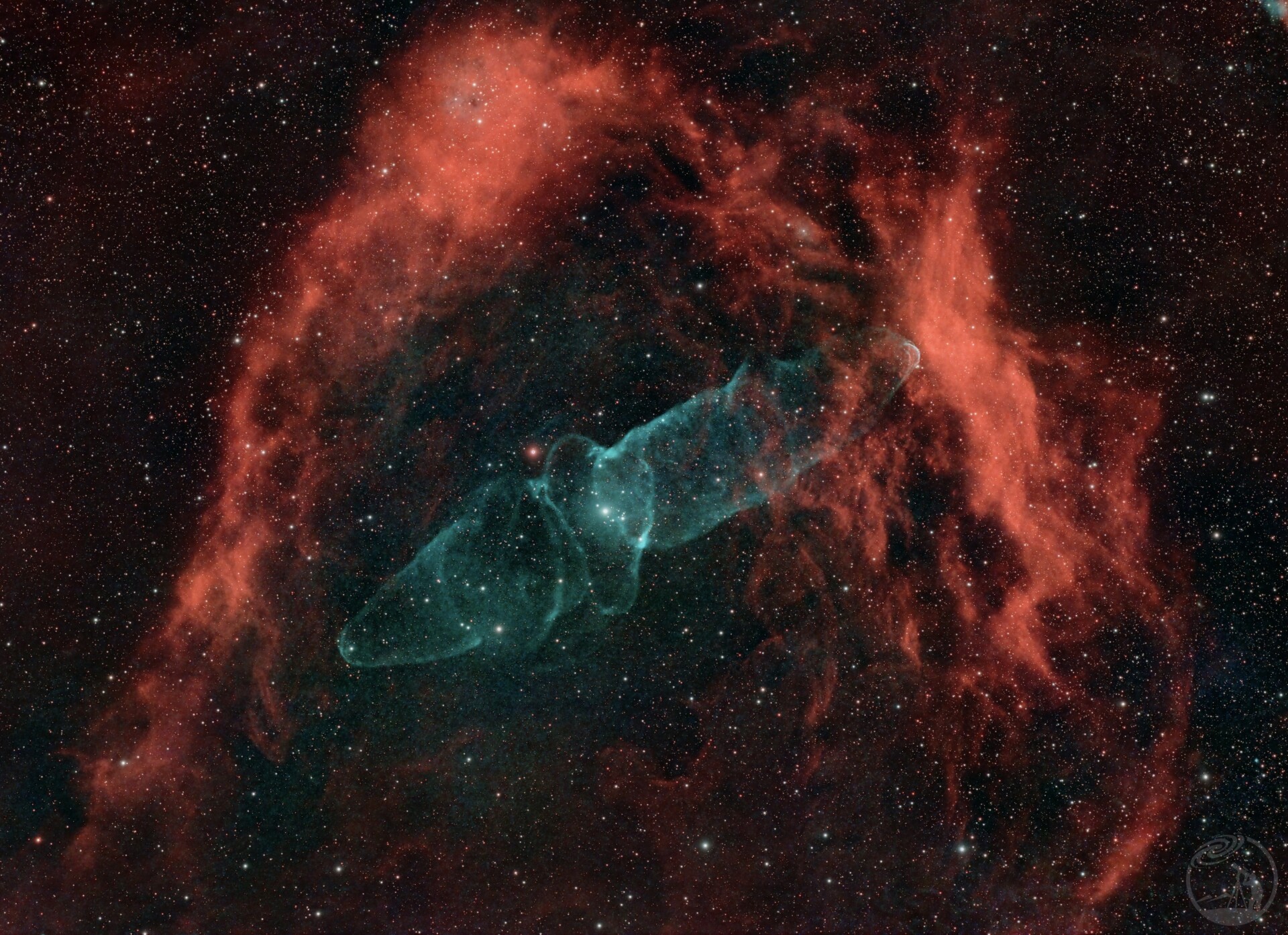 蝙蝠和鱿鱼星云