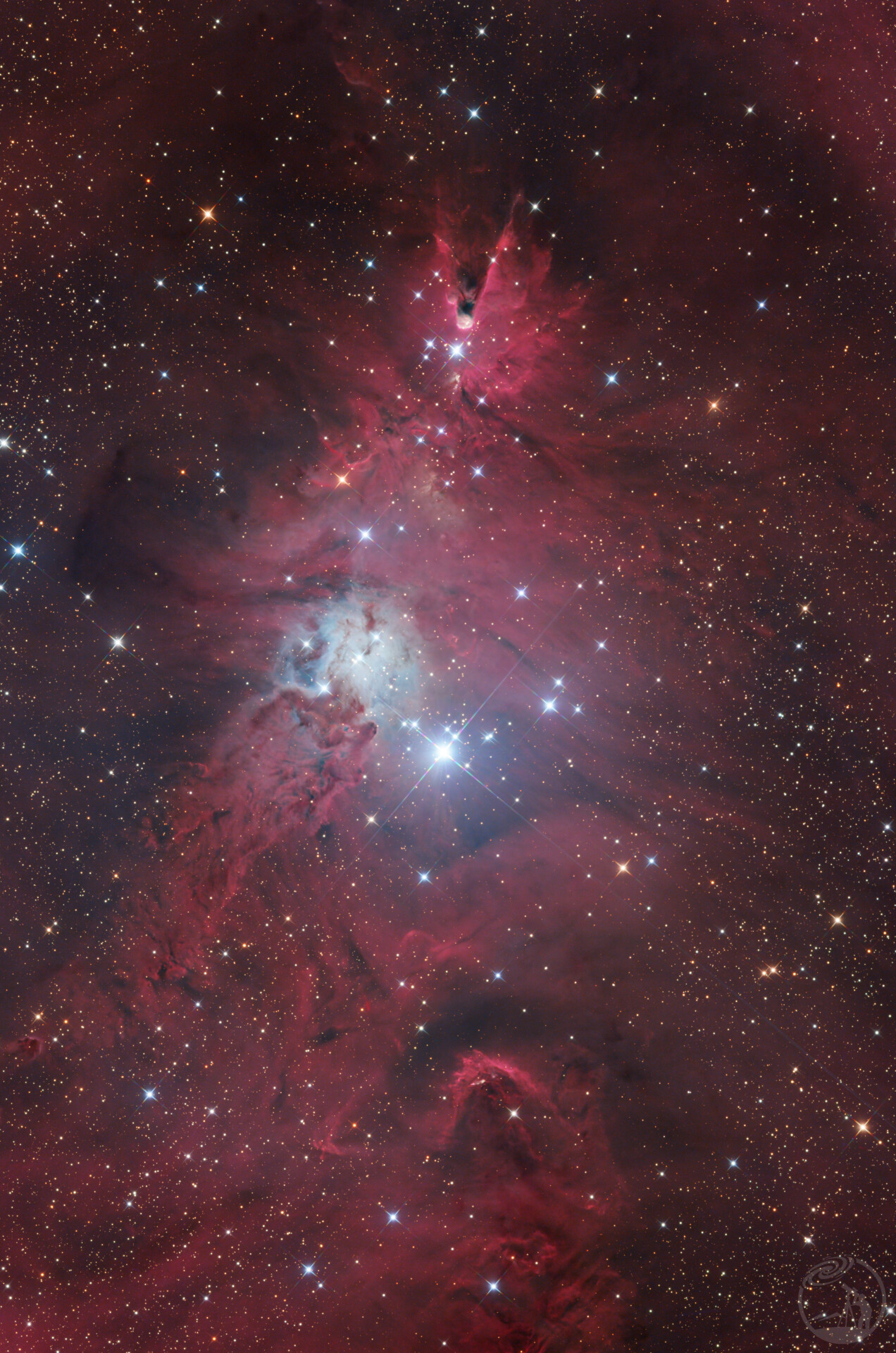 NGC2264圣诞树星团