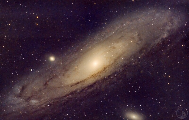M31