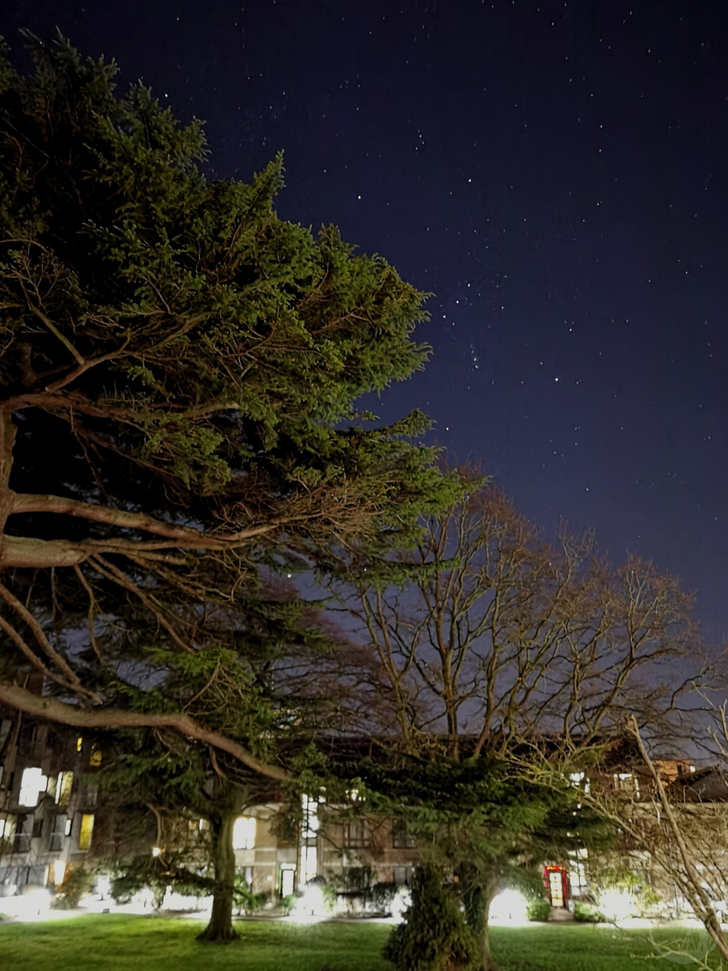 石城旧梦 星落古树