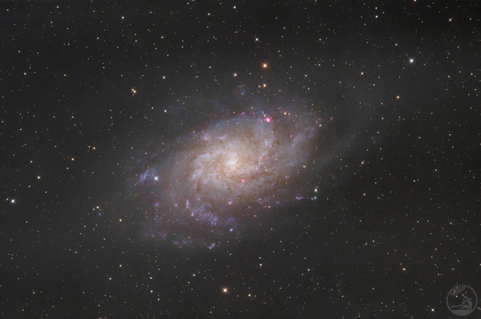 M33