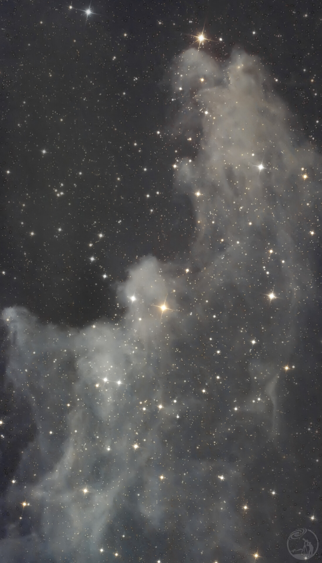 IC2118 女巫的下巴
