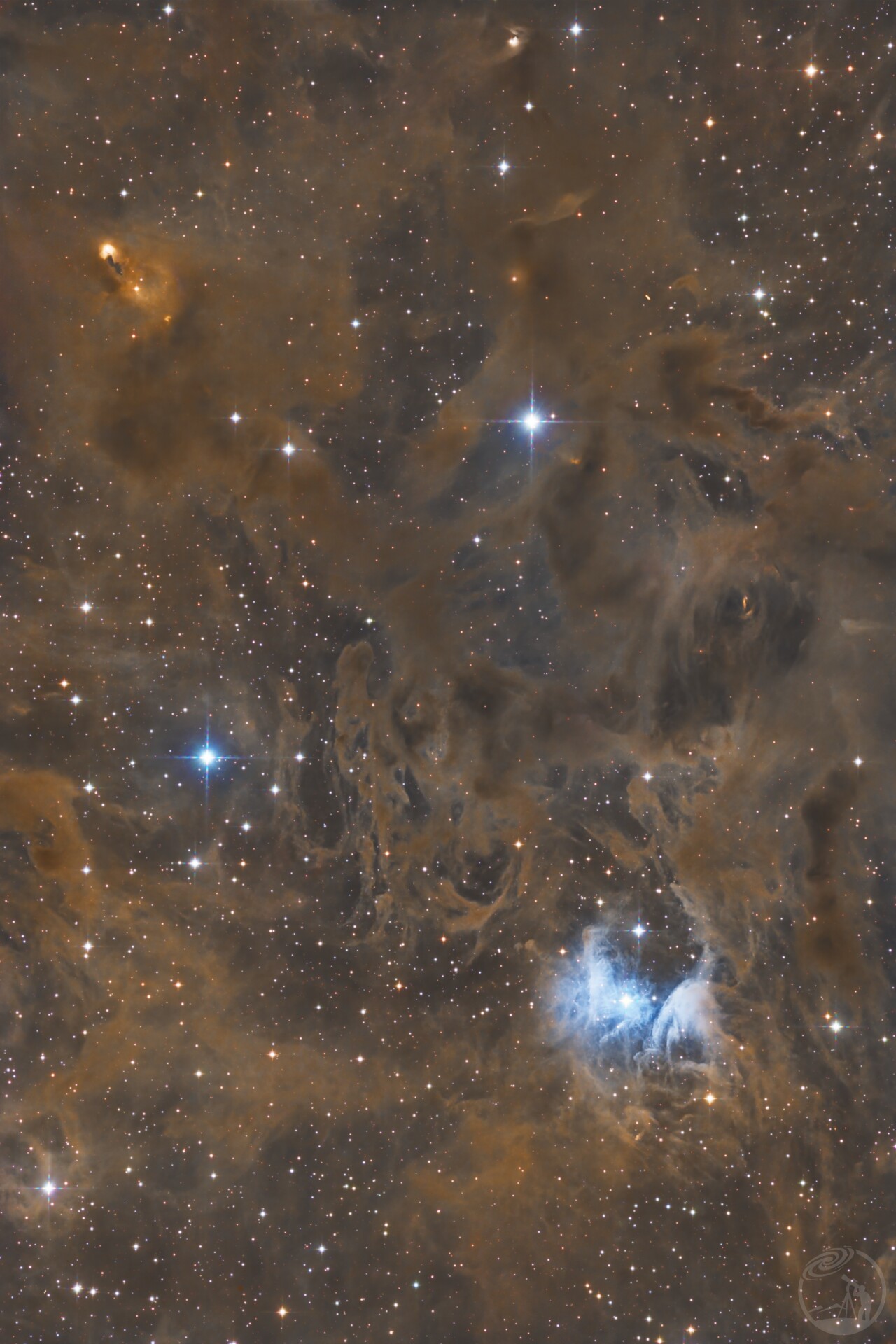 VDB 16 - “The Dragon’s Breath”