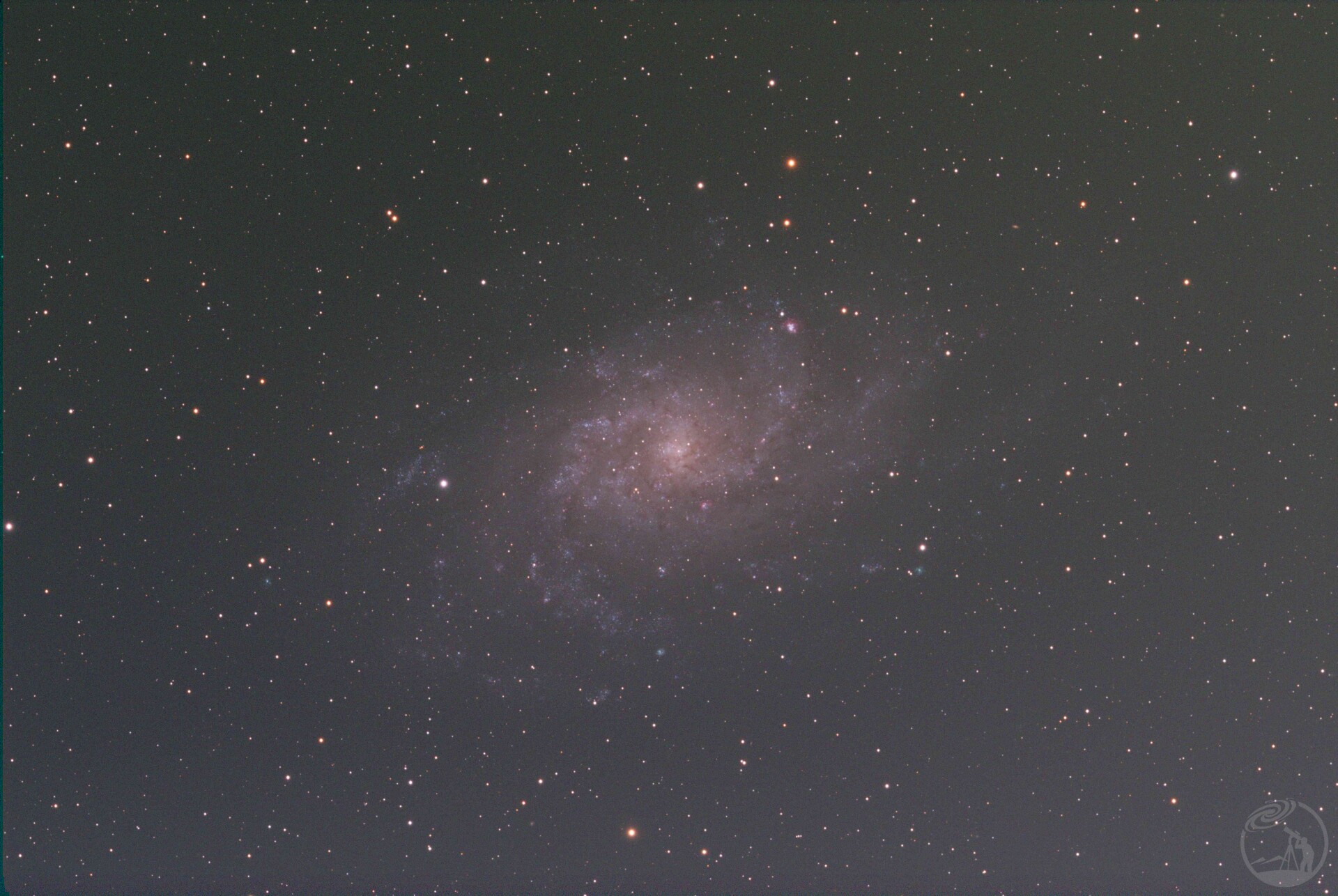 M33