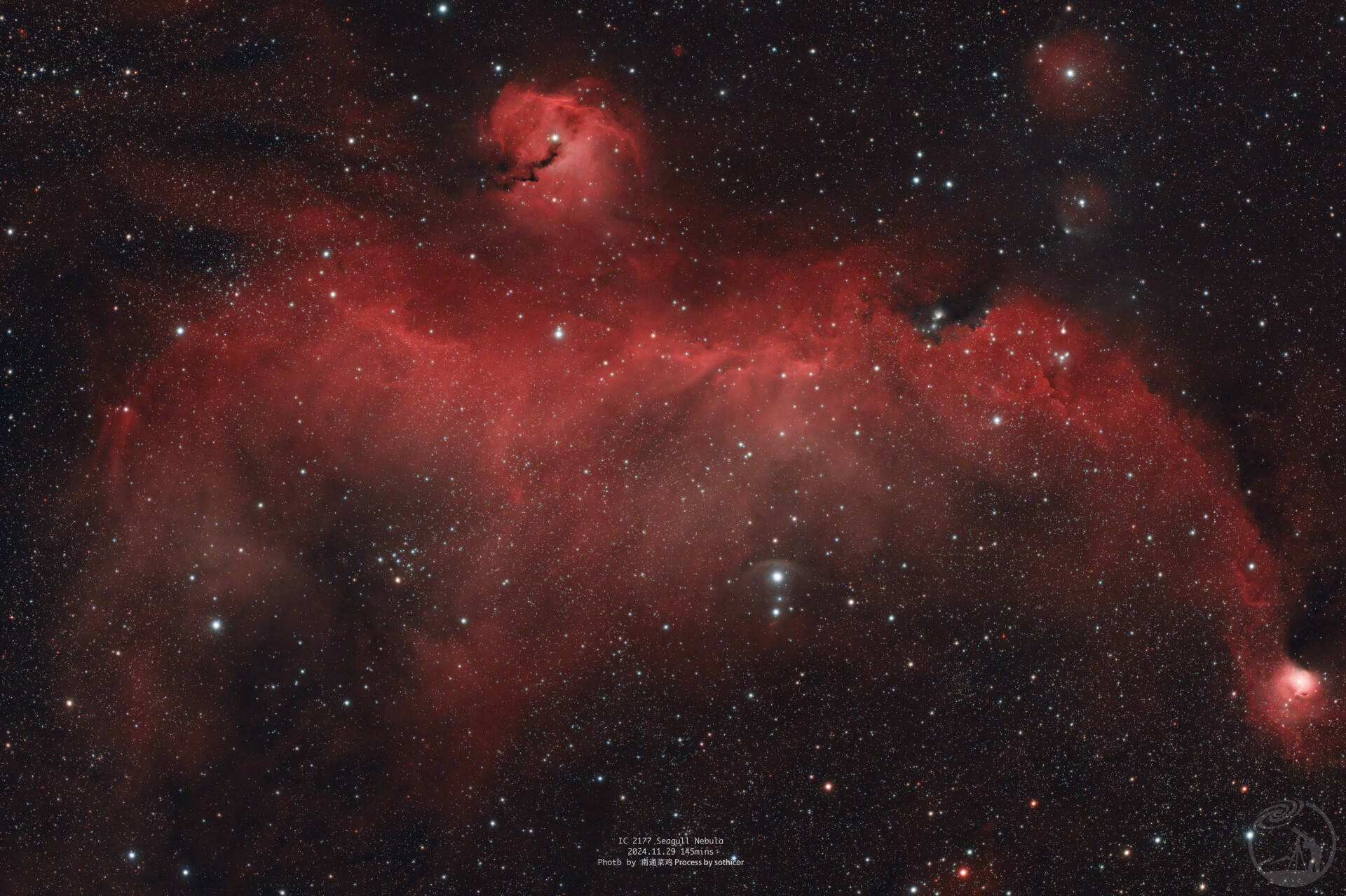 IC2177｜海鸥星云
