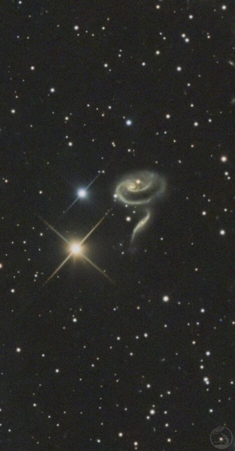 Arp 273玫瑰星系