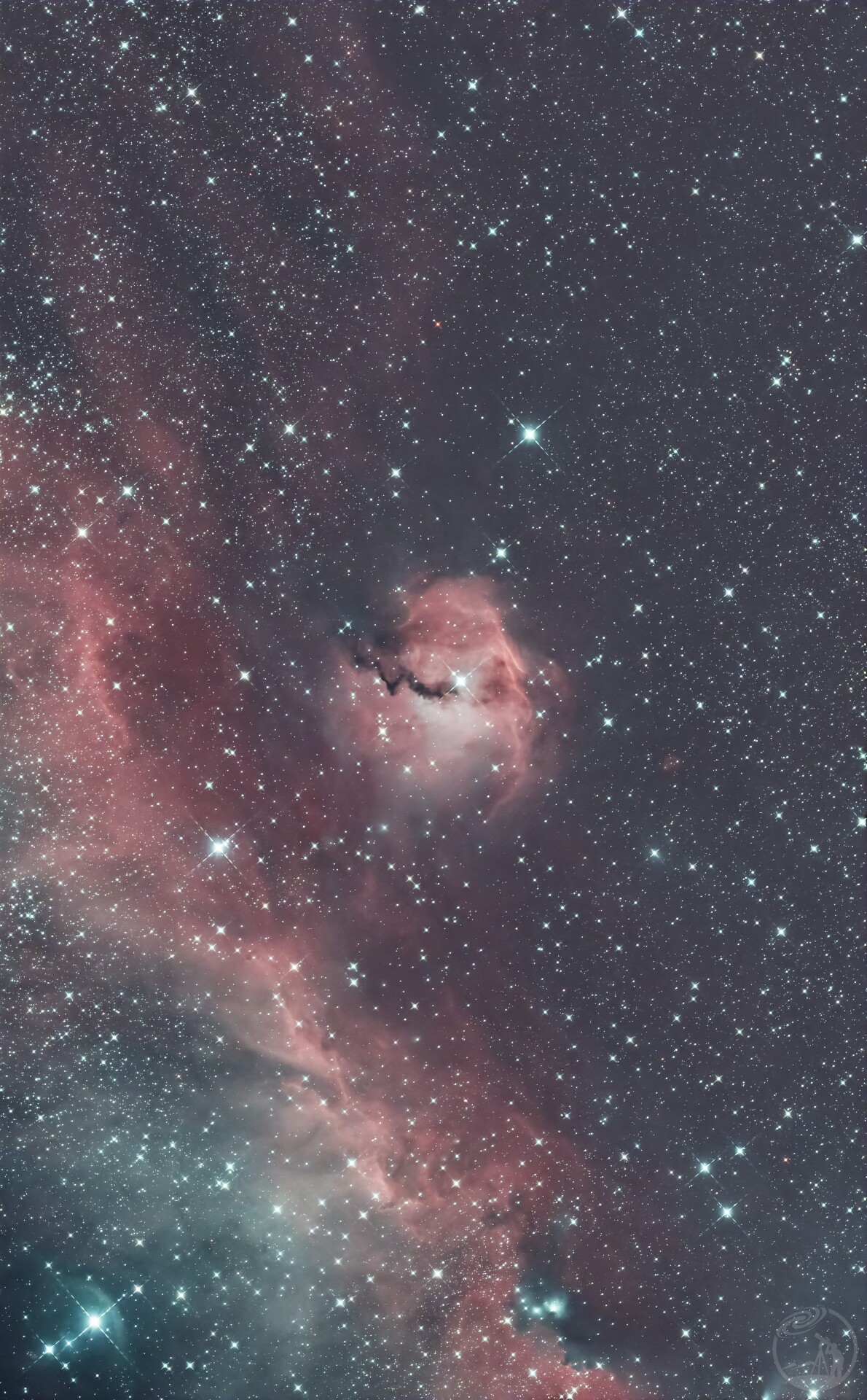 海鸥星云