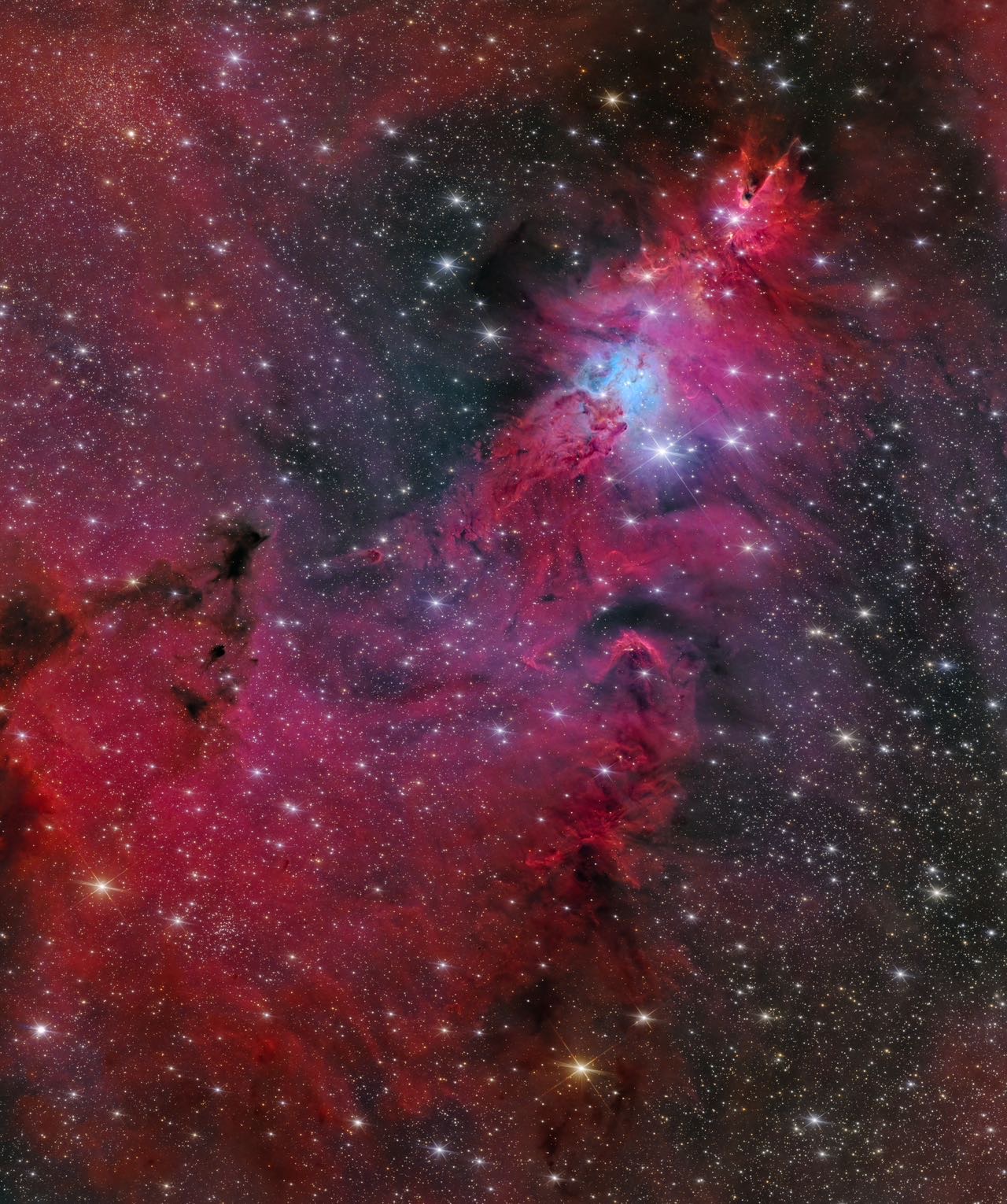 ngc2264圣诞树星团