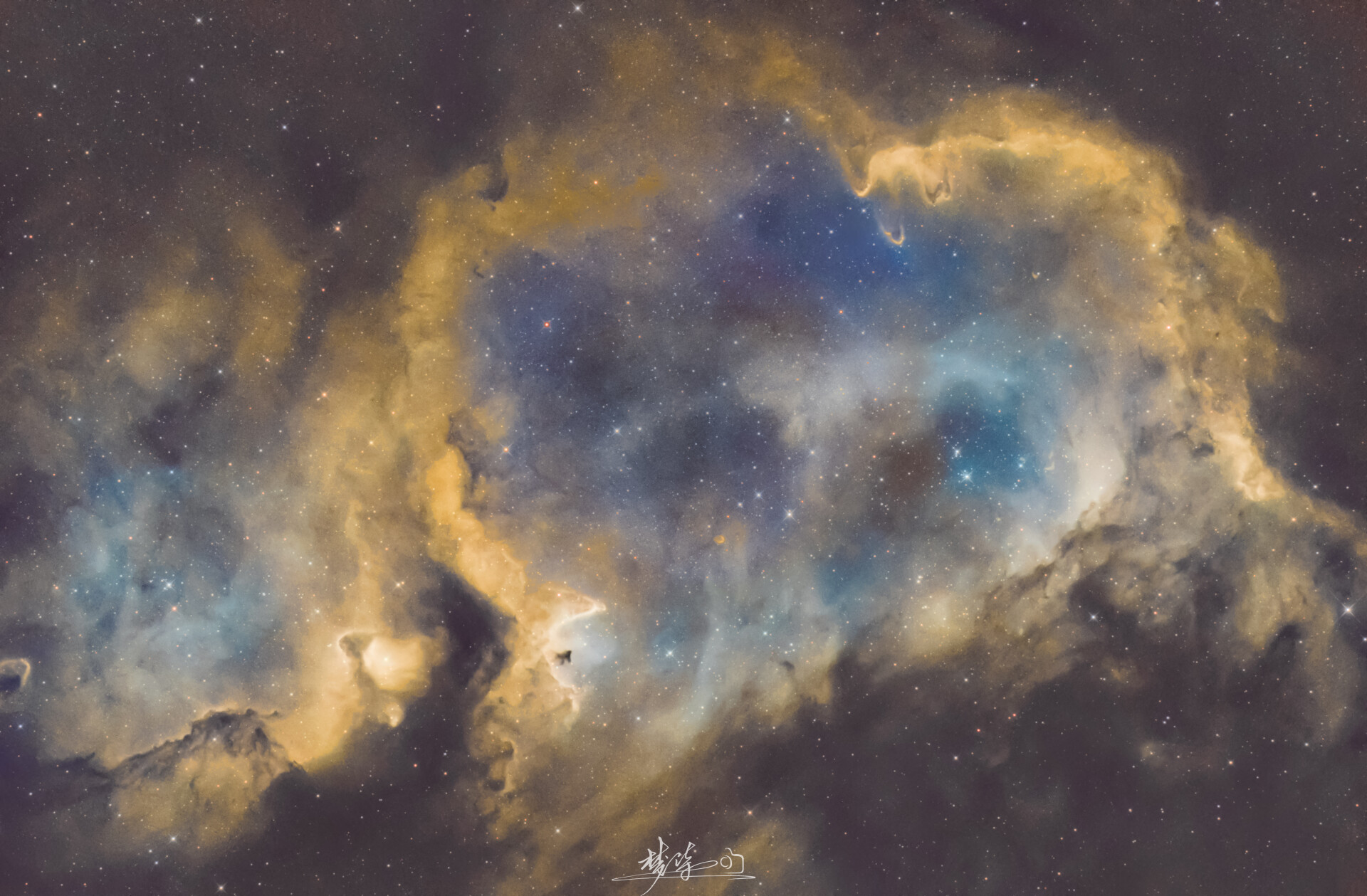 目光所及之处皆是星河🌌