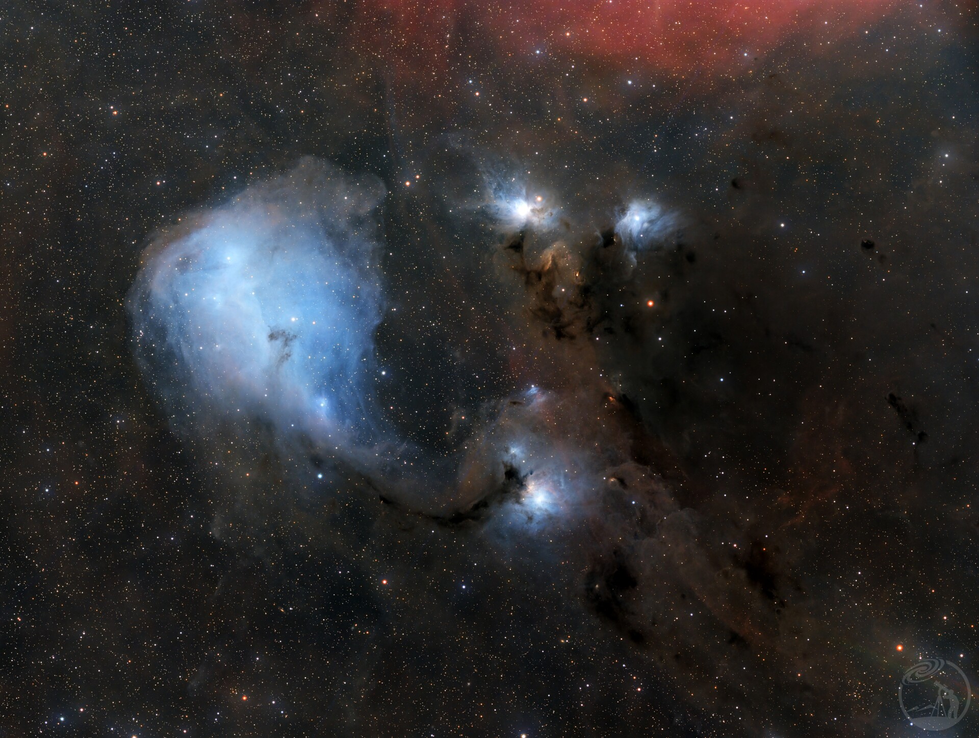 IC446 小鲸鱼