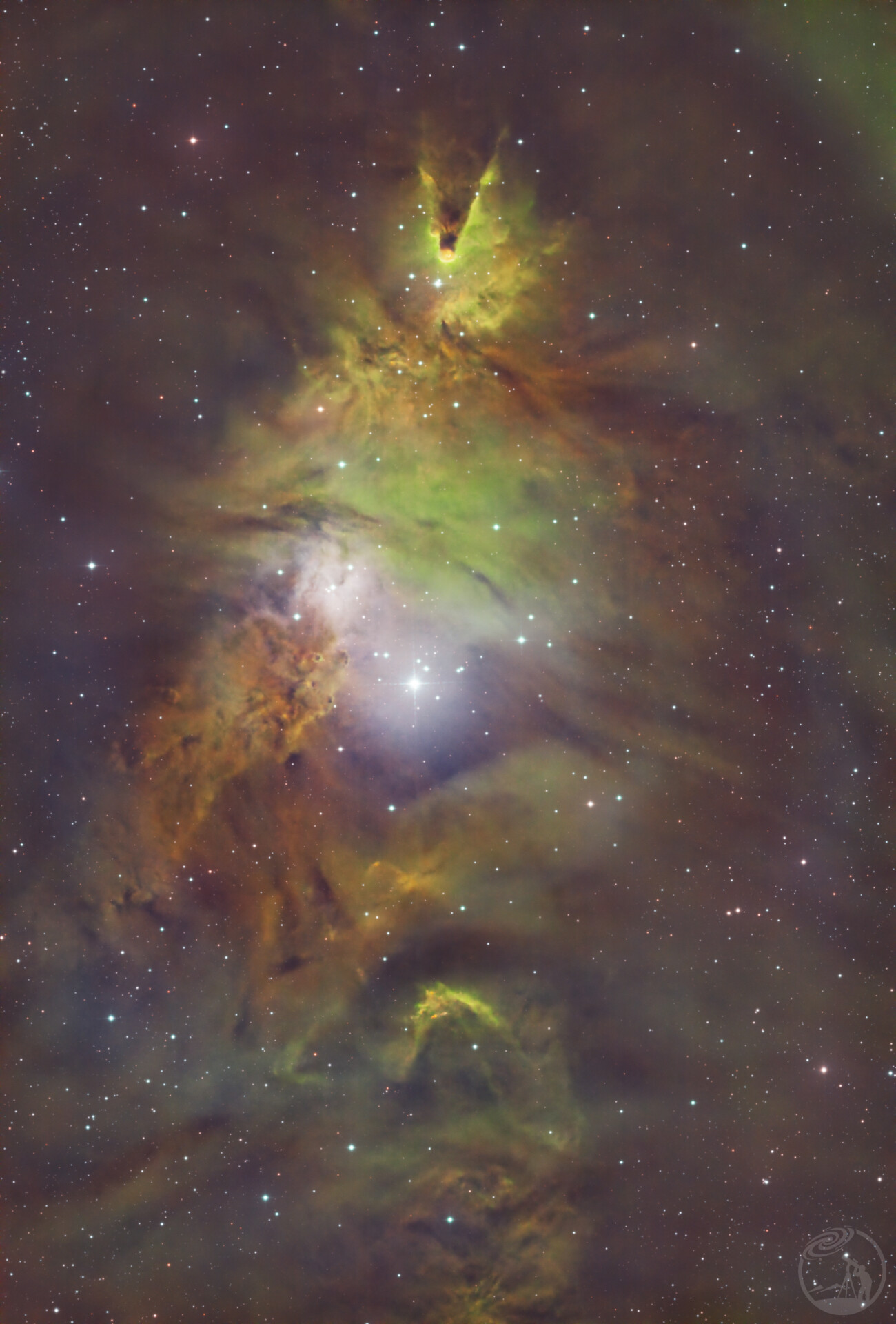 NGC2264