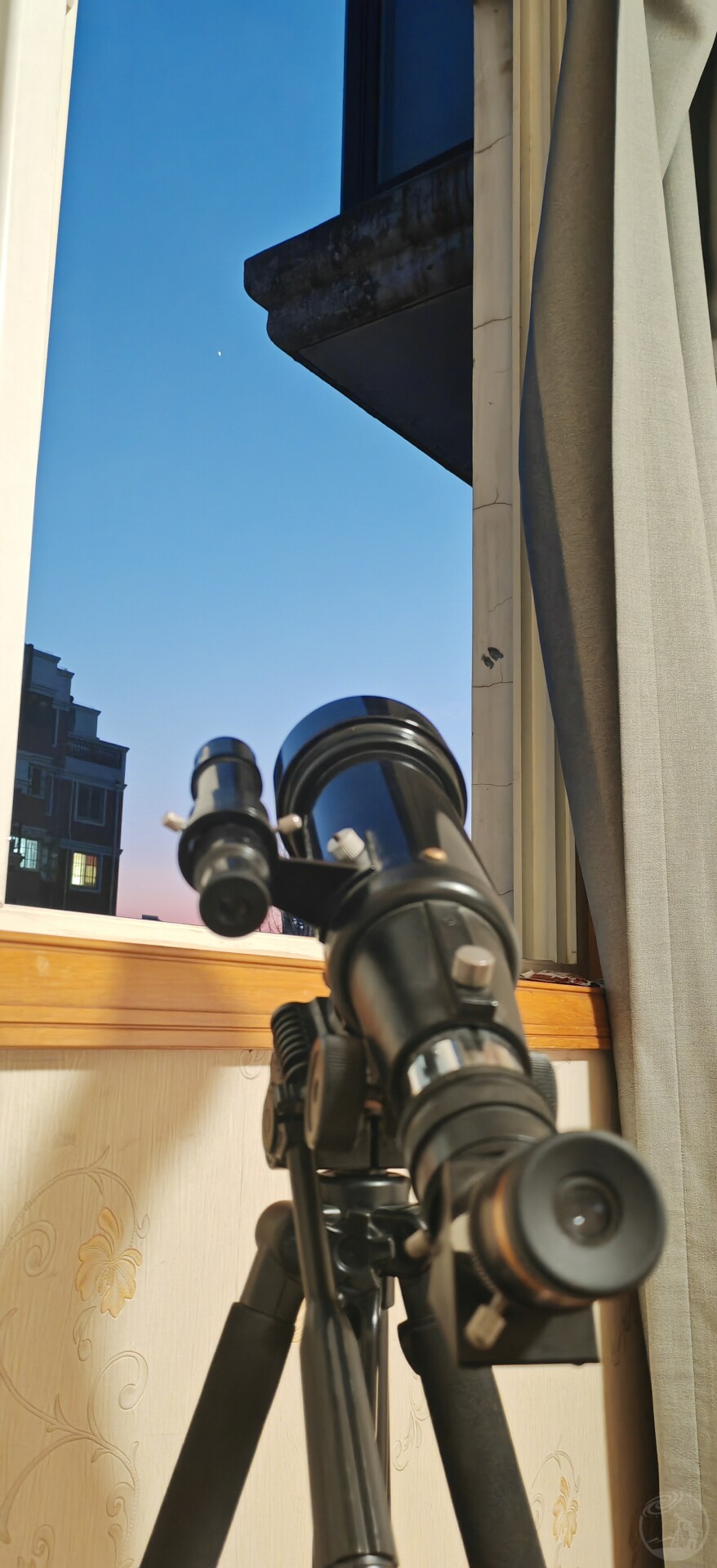 金星