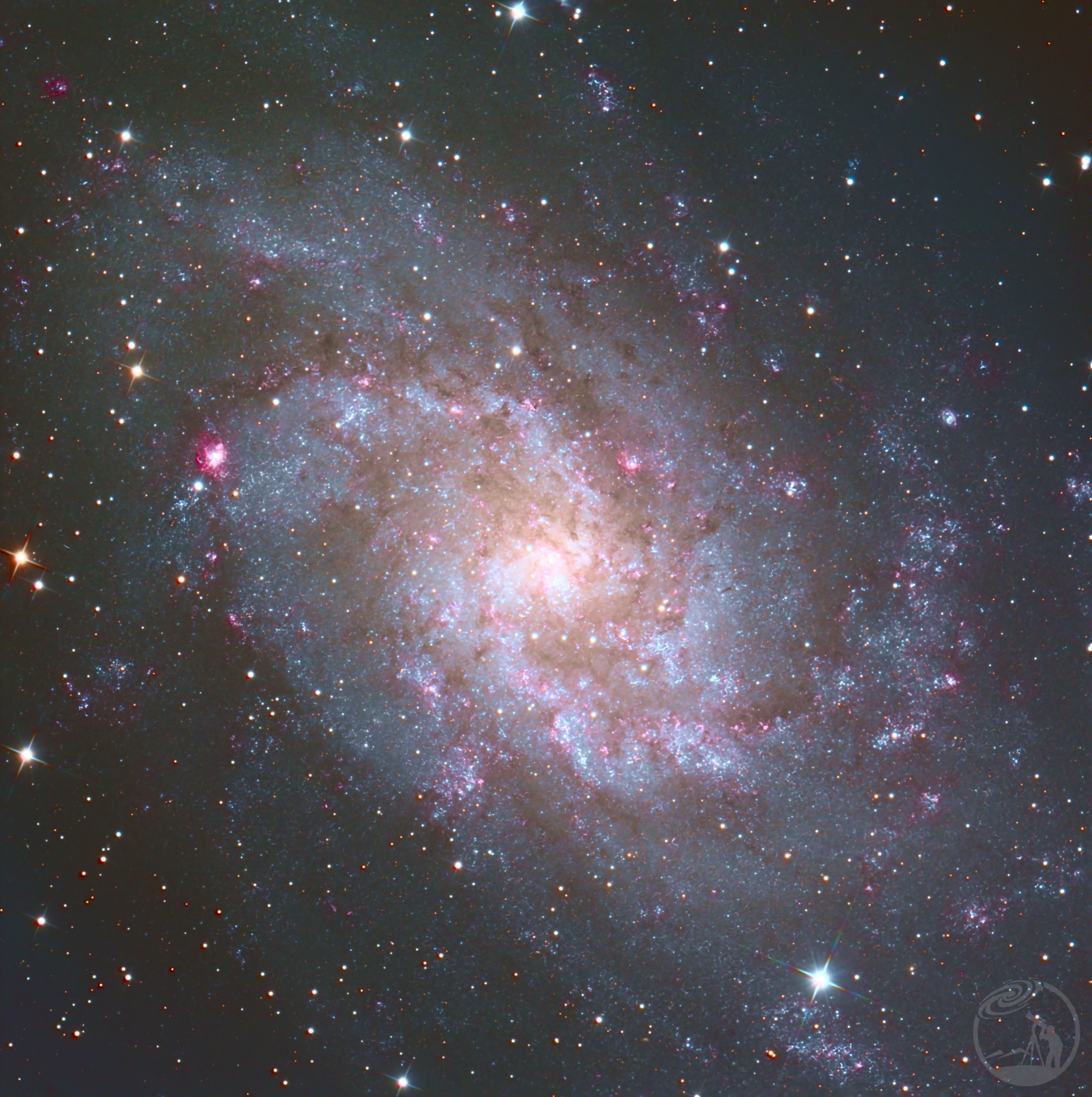 M33