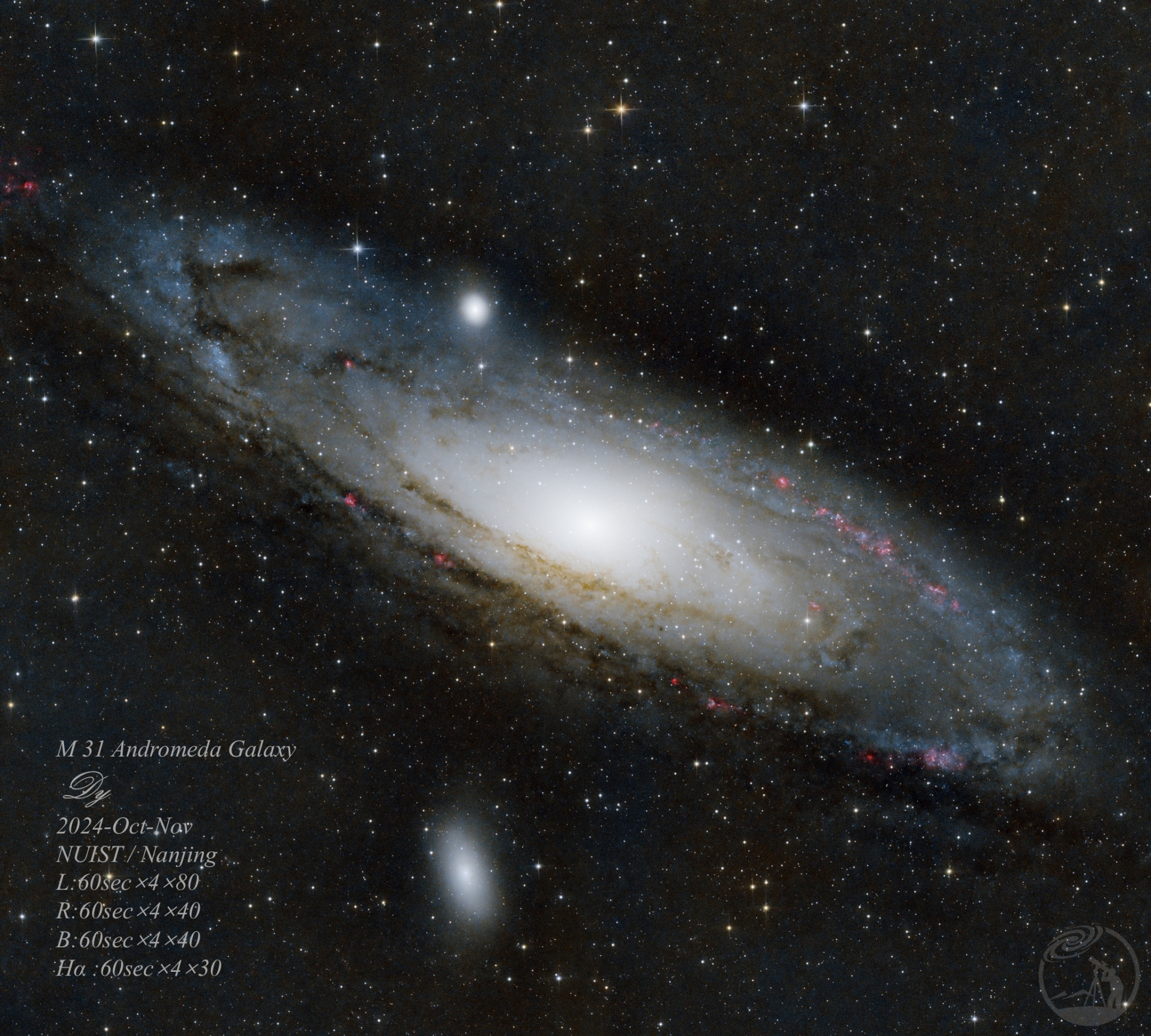 8级光污染下RB伪彩色的M31