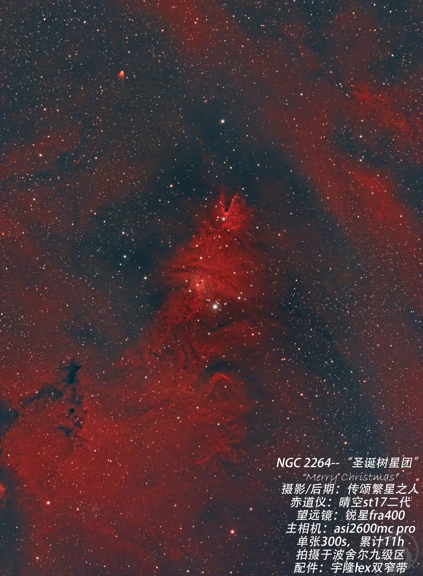 NGC 2264“圣诞树星团”