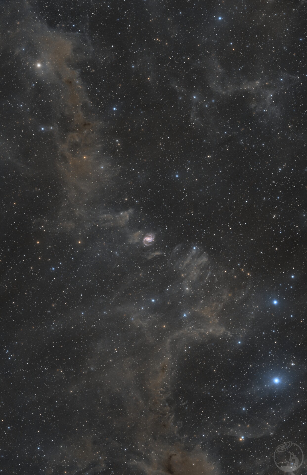 NGC 6951