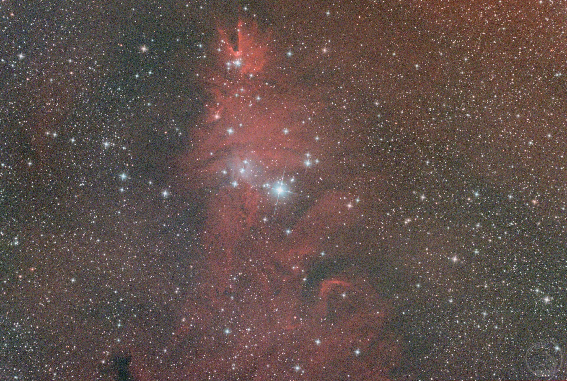 圣诞树星团