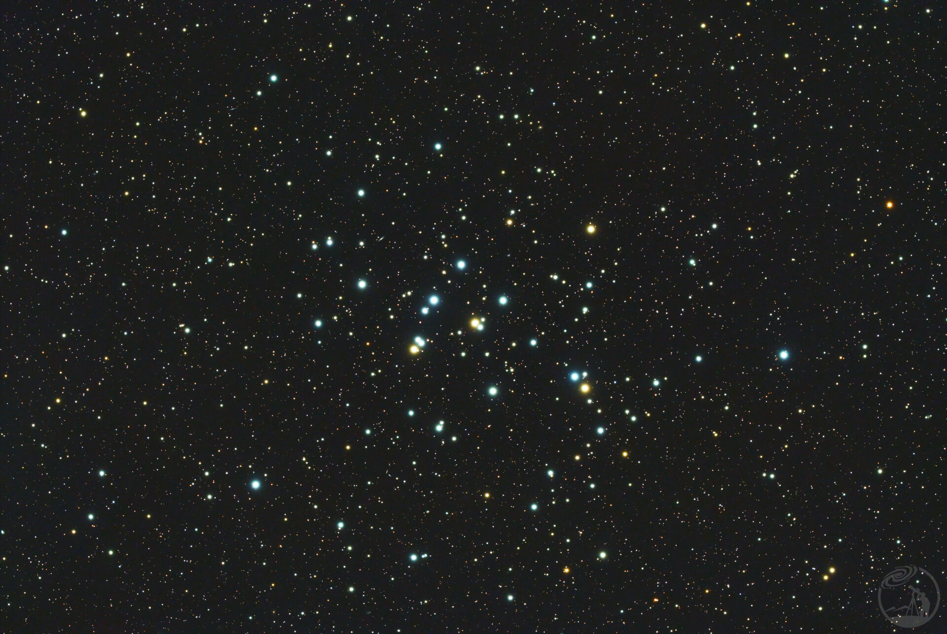 打野之M44鬼星团