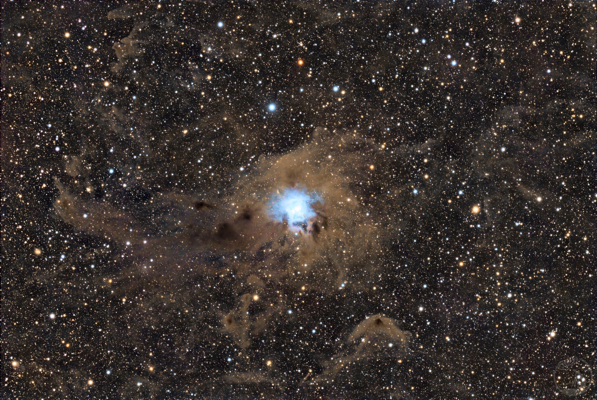 NGC7023 鸢尾花星云