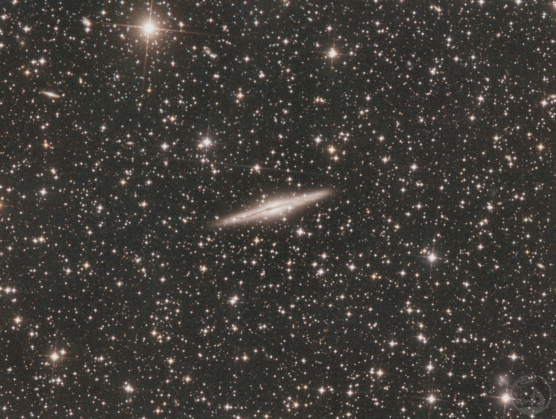 NGC891