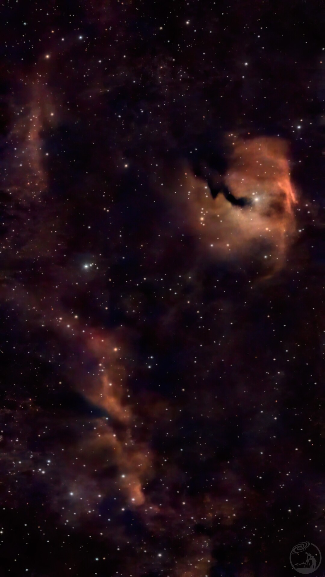 海鸥星云 SH2-292 S30拍摄