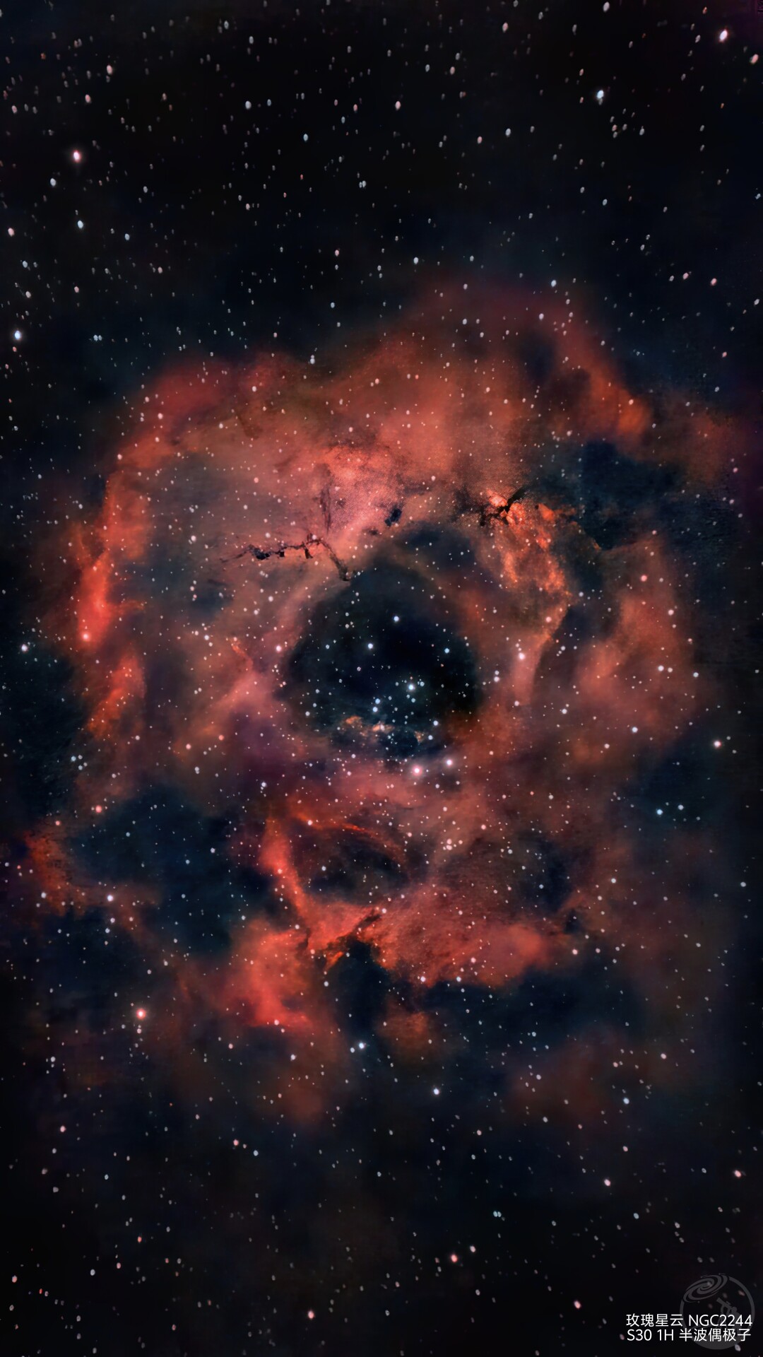 玫瑰星云 s30拍摄