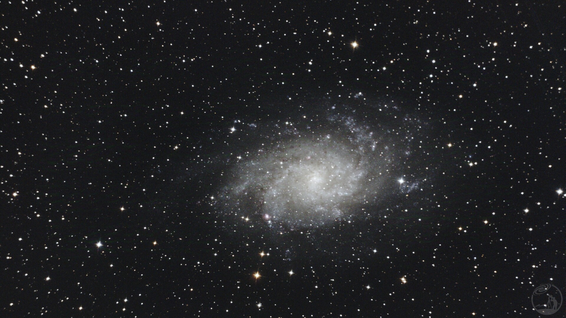 M33