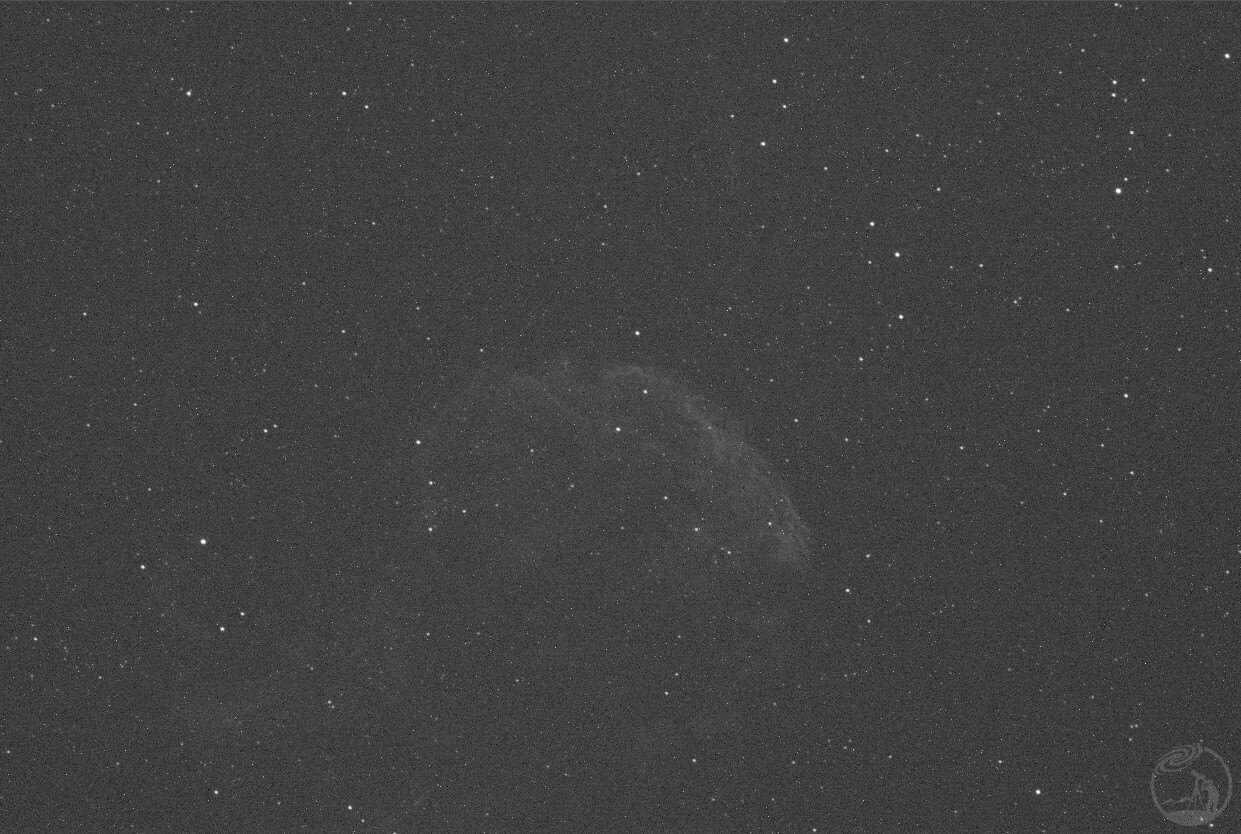 IC443单张