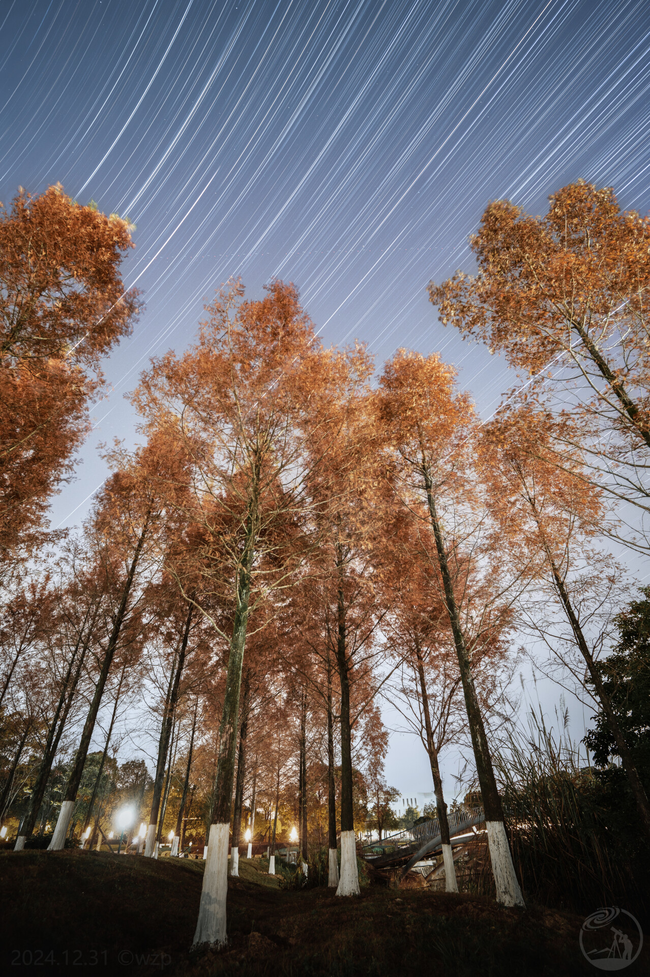 福大水杉星轨1