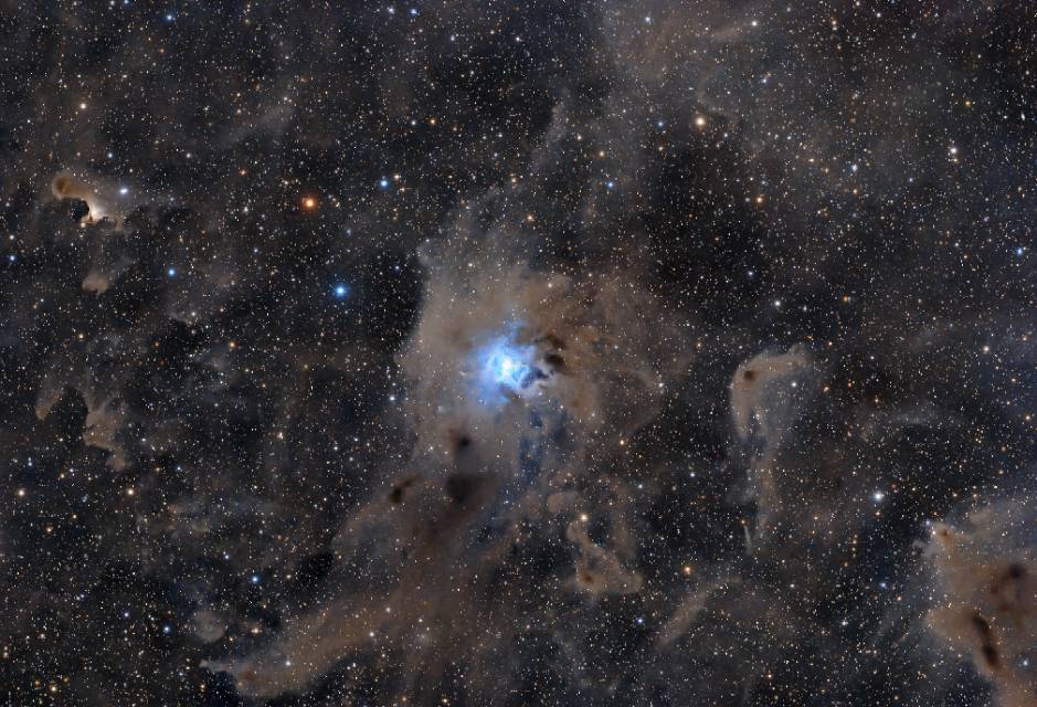 郊外拍摄的鸢尾花星云及其周边暗星云