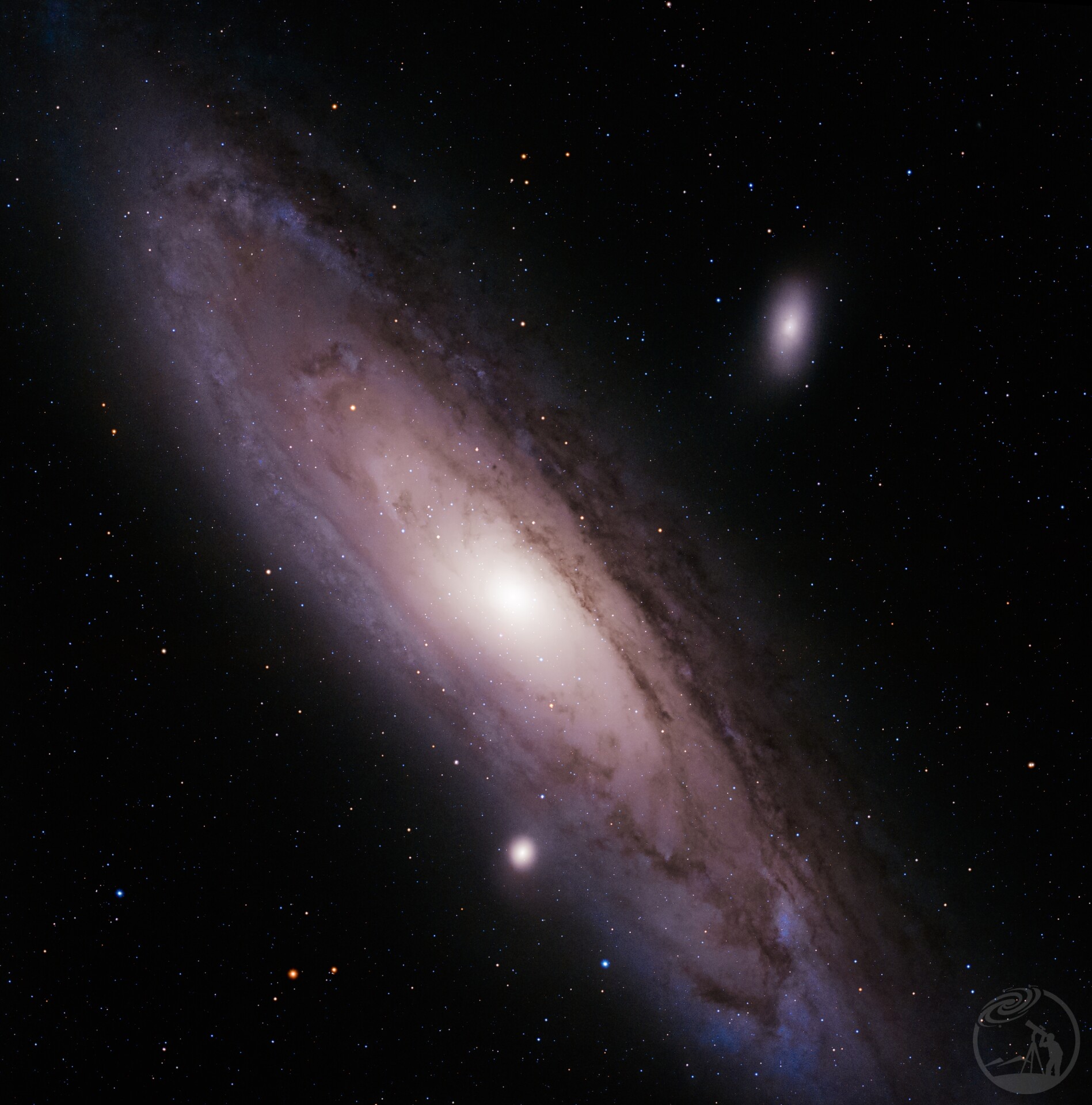 M31
