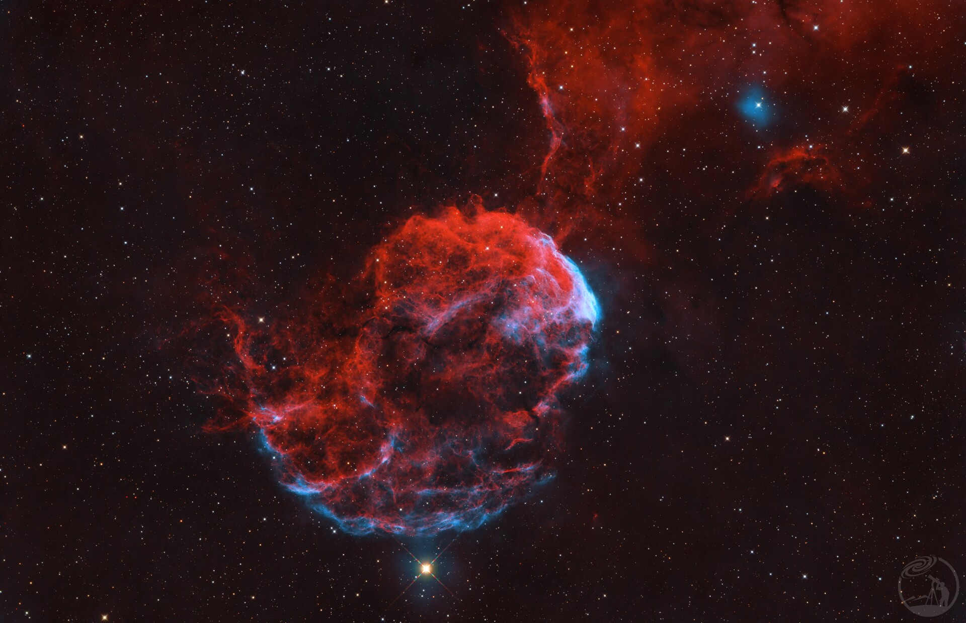 ic443 喷射水母 