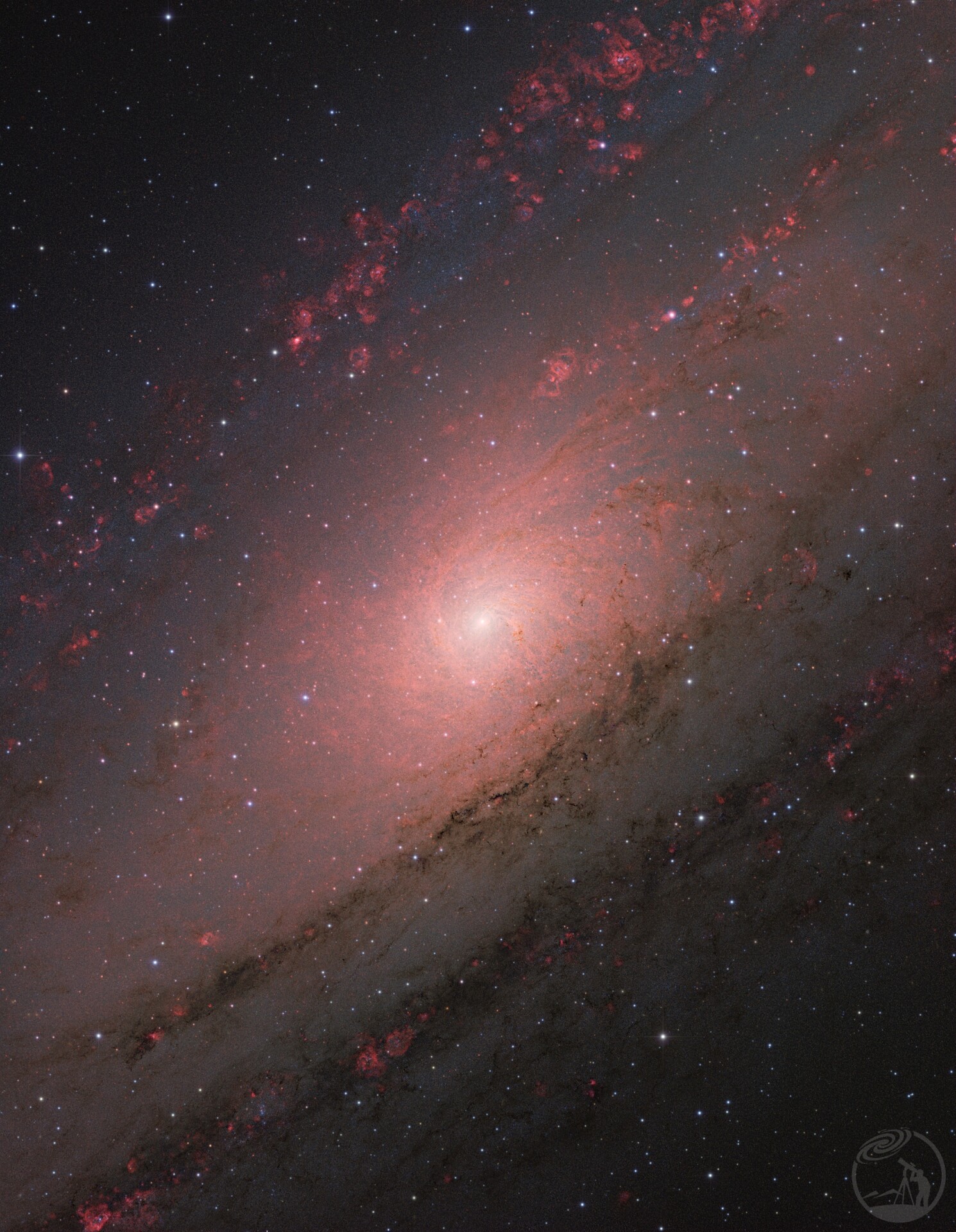 m31核心