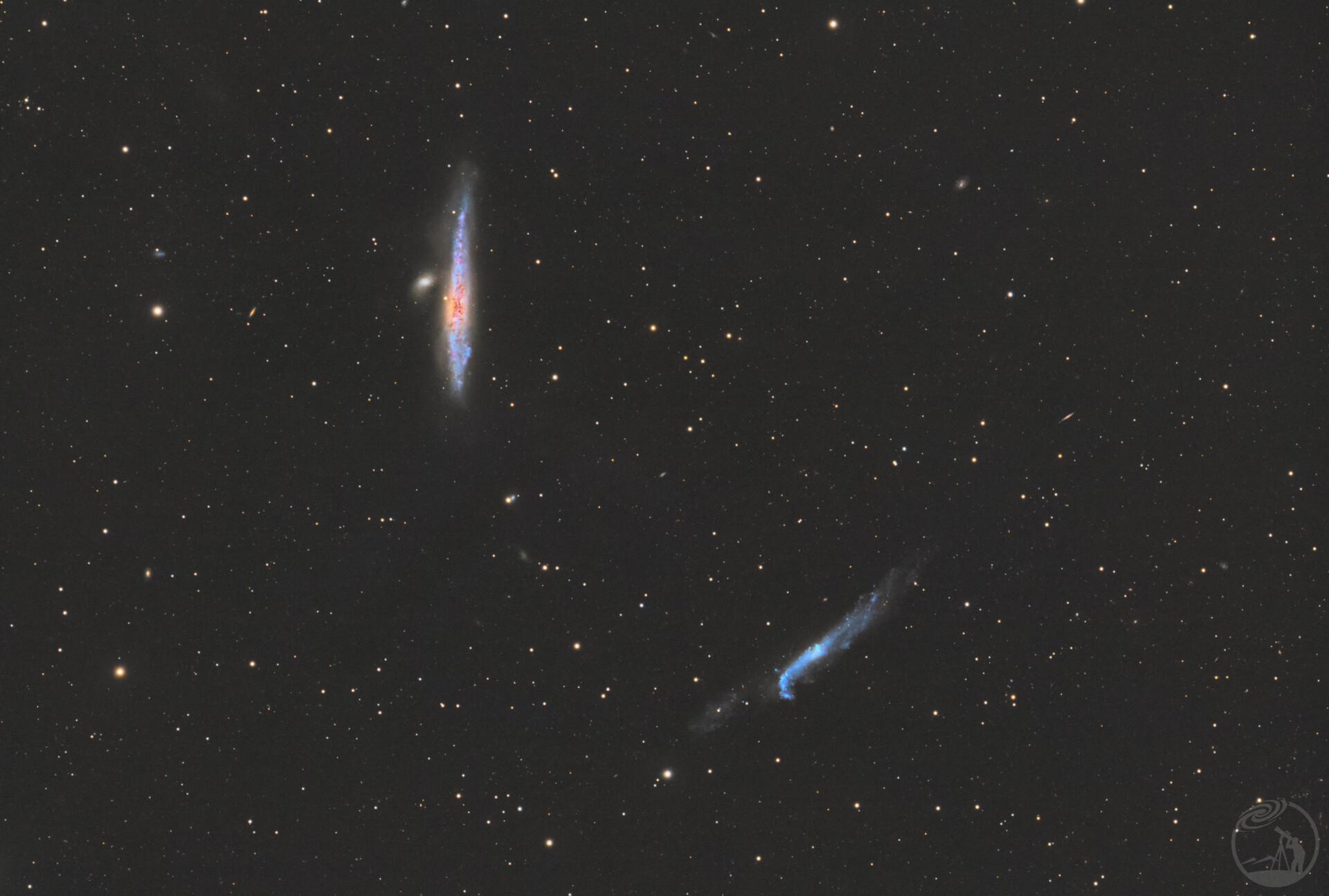 NGC4631鲸鱼星系🐳