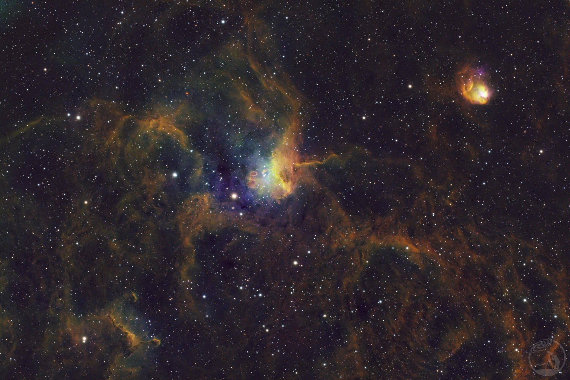 夜空中悄然上演的捕猎大戏